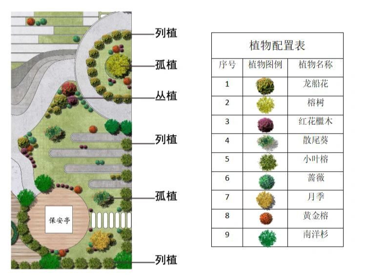 植物分区规划图图片