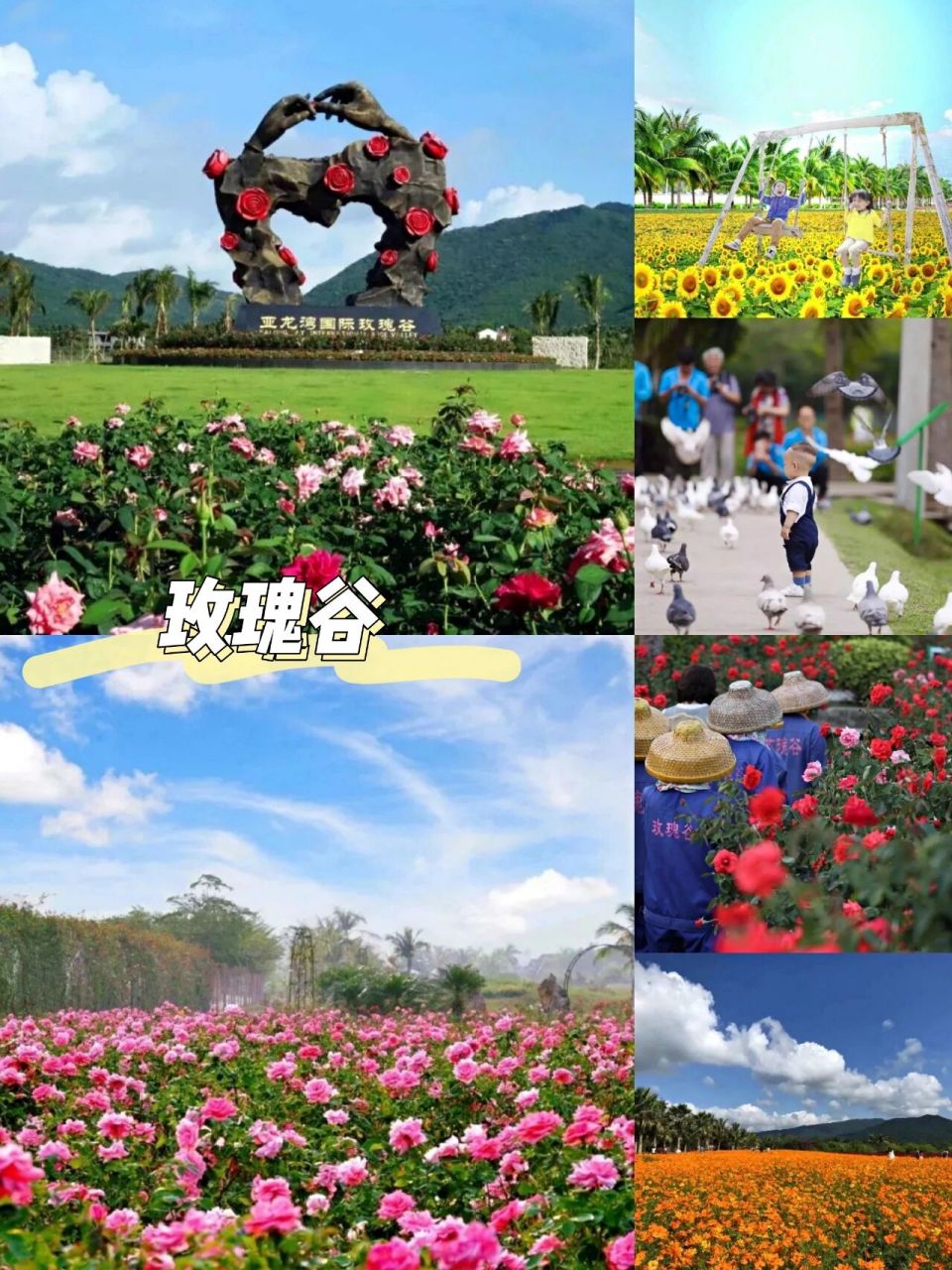 海南旅游丨亚龙湾国际玫瑰谷 🌹三亚亚龙湾国际玫瑰谷位于三亚市亚
