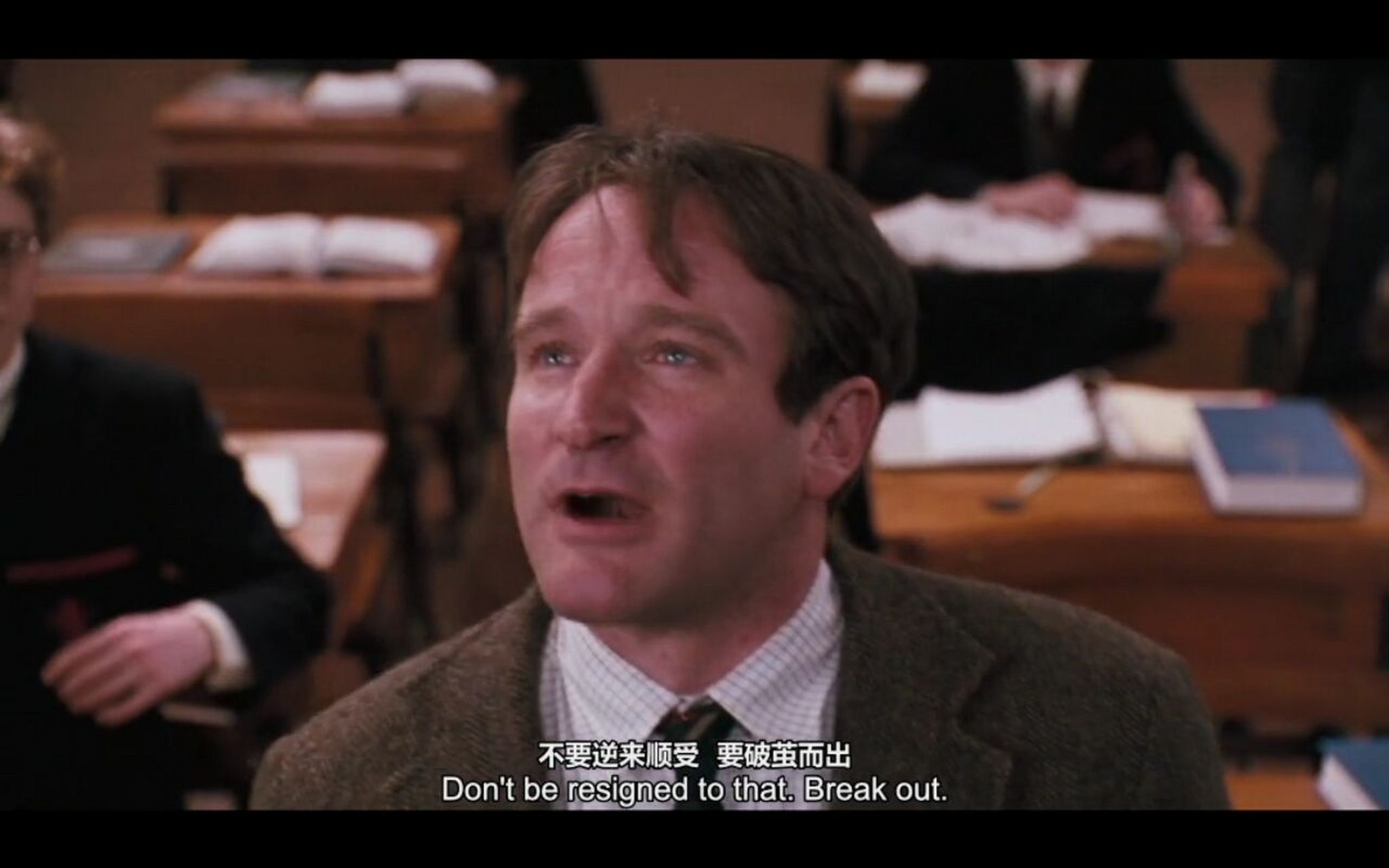 我们终其一生都在追求所谓的意义 最后才发现"因为