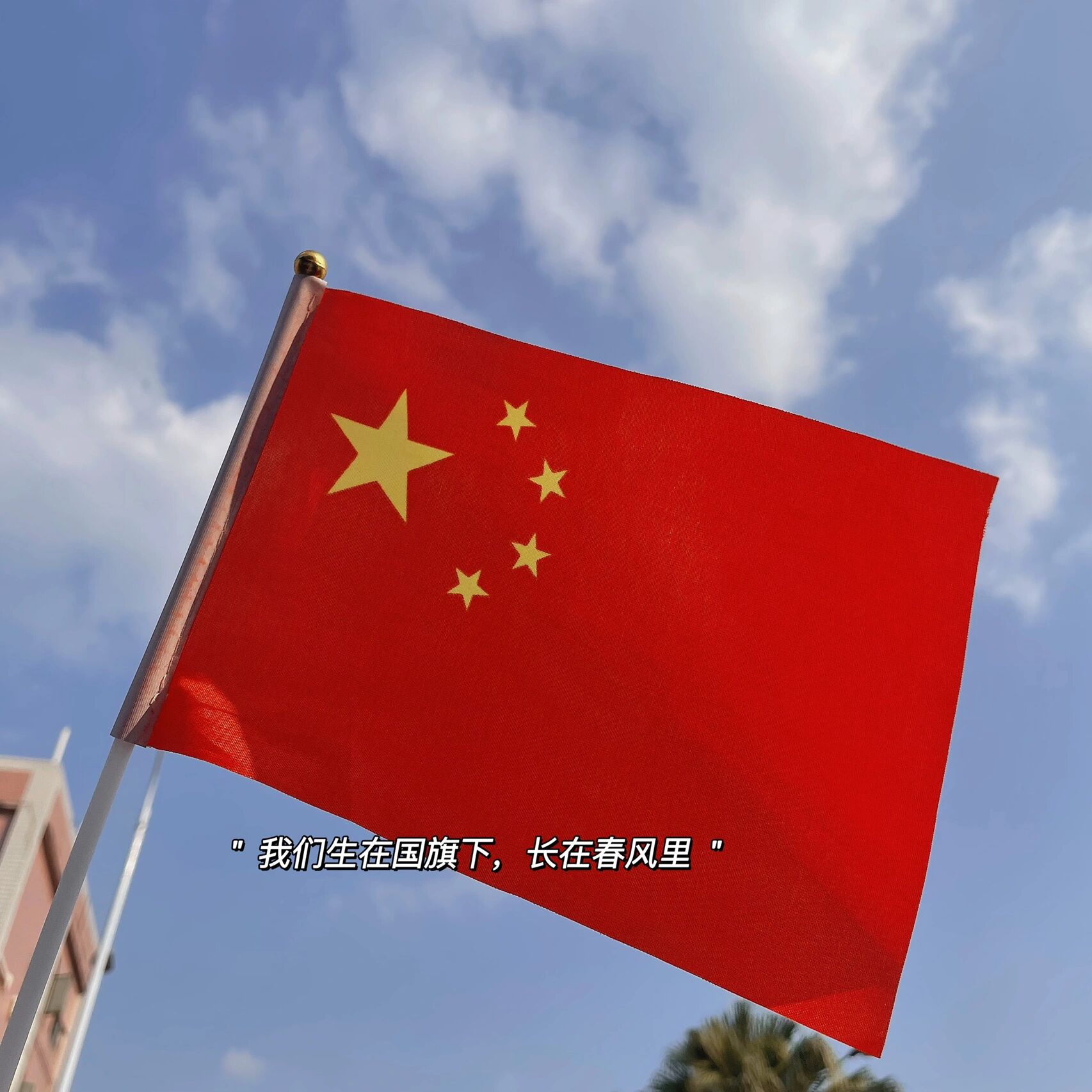 "9899红旗飘飘,祖国万岁 | 朋友圈 | plo