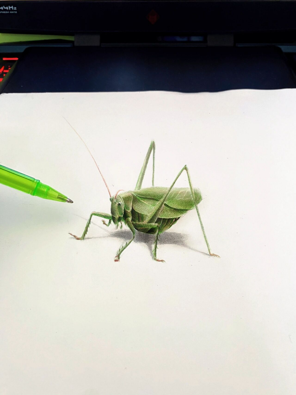 画一只蝈蝈95 今天画一只蝈蝈!希望大家喜欢 纸张90:素描纸.