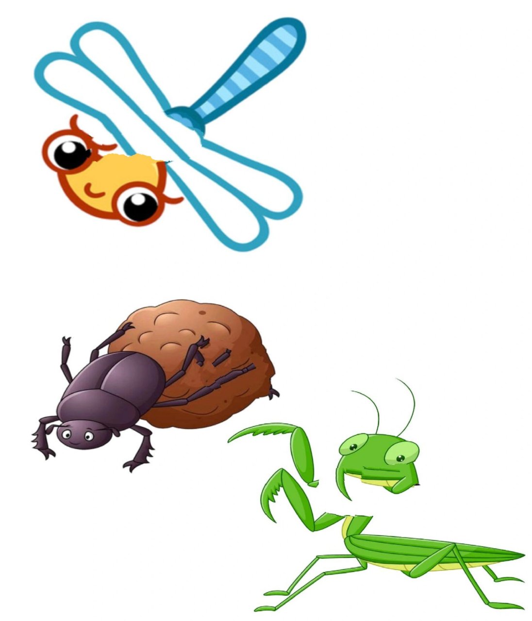 昆虫类主题墙环创——益虫的本领,原图