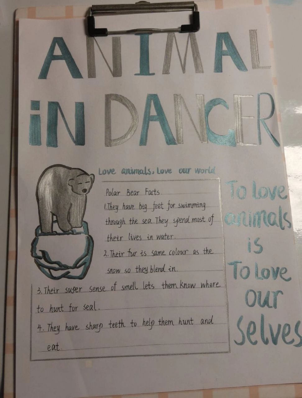 英语动物海报简单图片