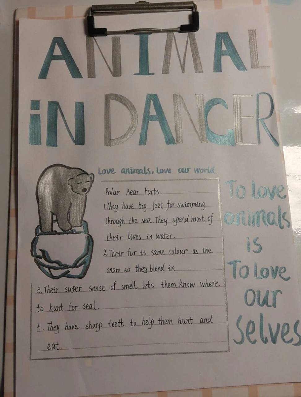 保护动物英语海报 保护动物英语海报