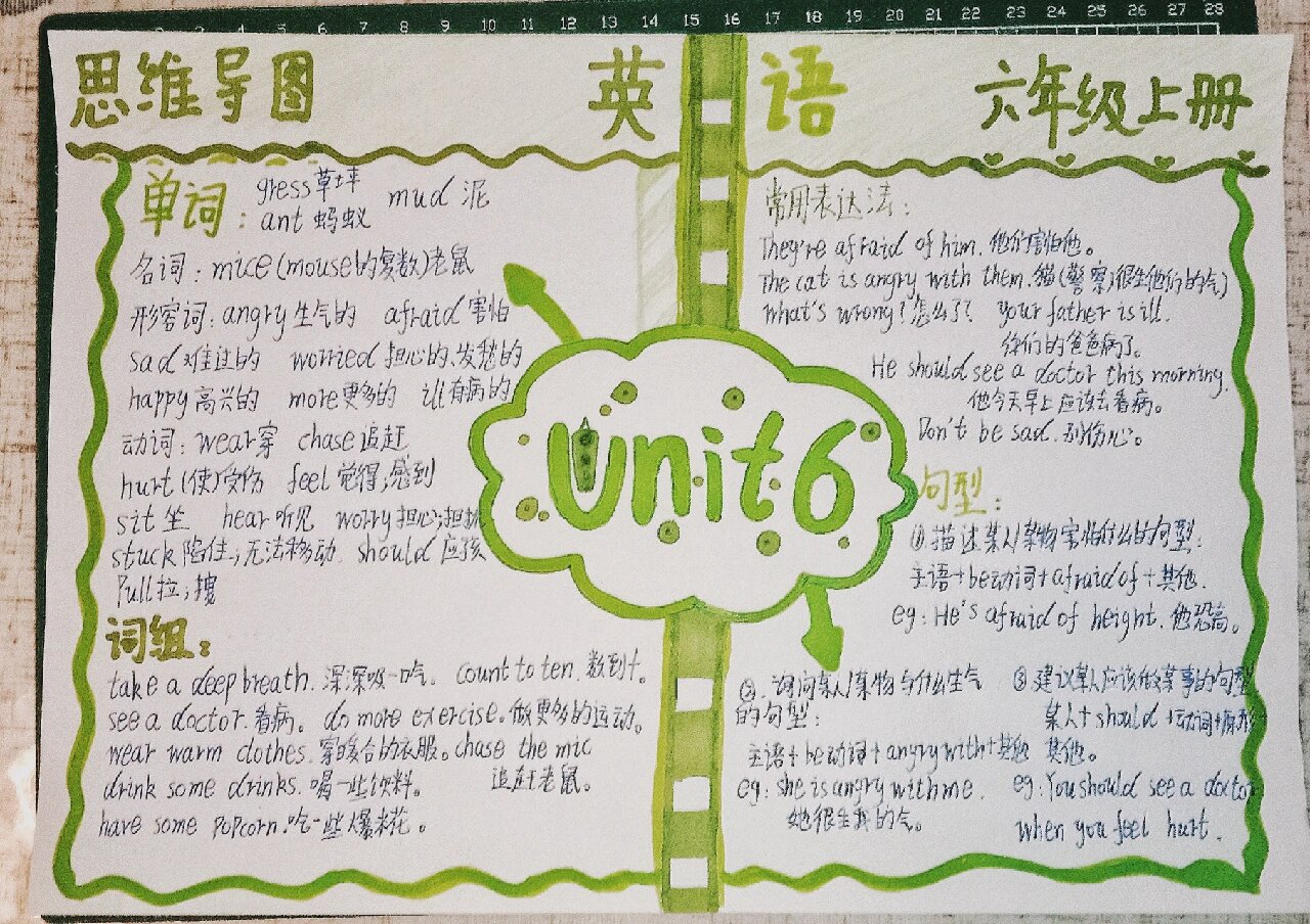 六上英语第六单元思维导图