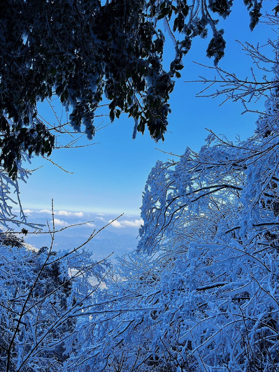 武功山雪景描写图片