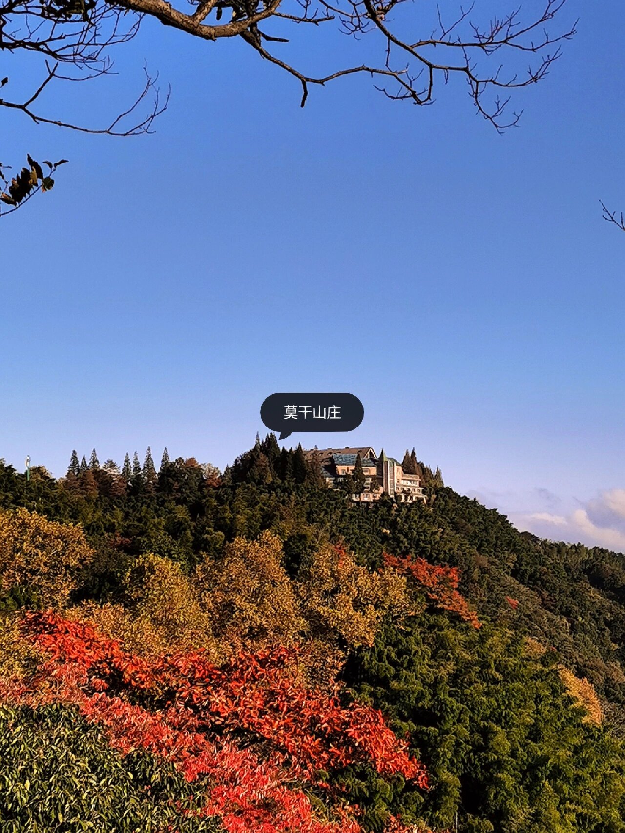 11月,莫干山神仙秋色来了6015景区游玩攻略