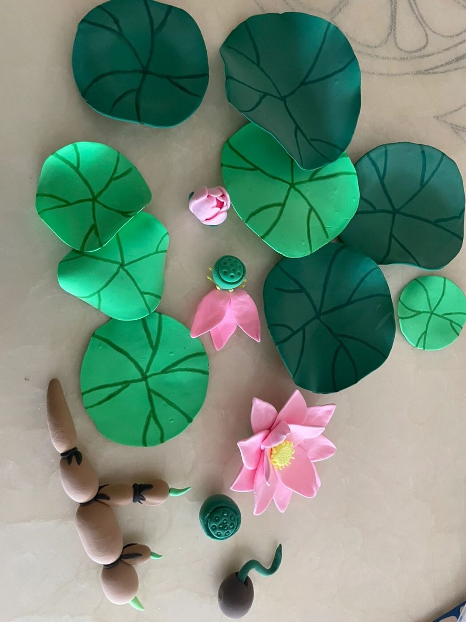 幼儿园手工 超轻粘土手工 一颗莲子的生命旅程 	 荷花 荷叶 莲蓬 莲藕