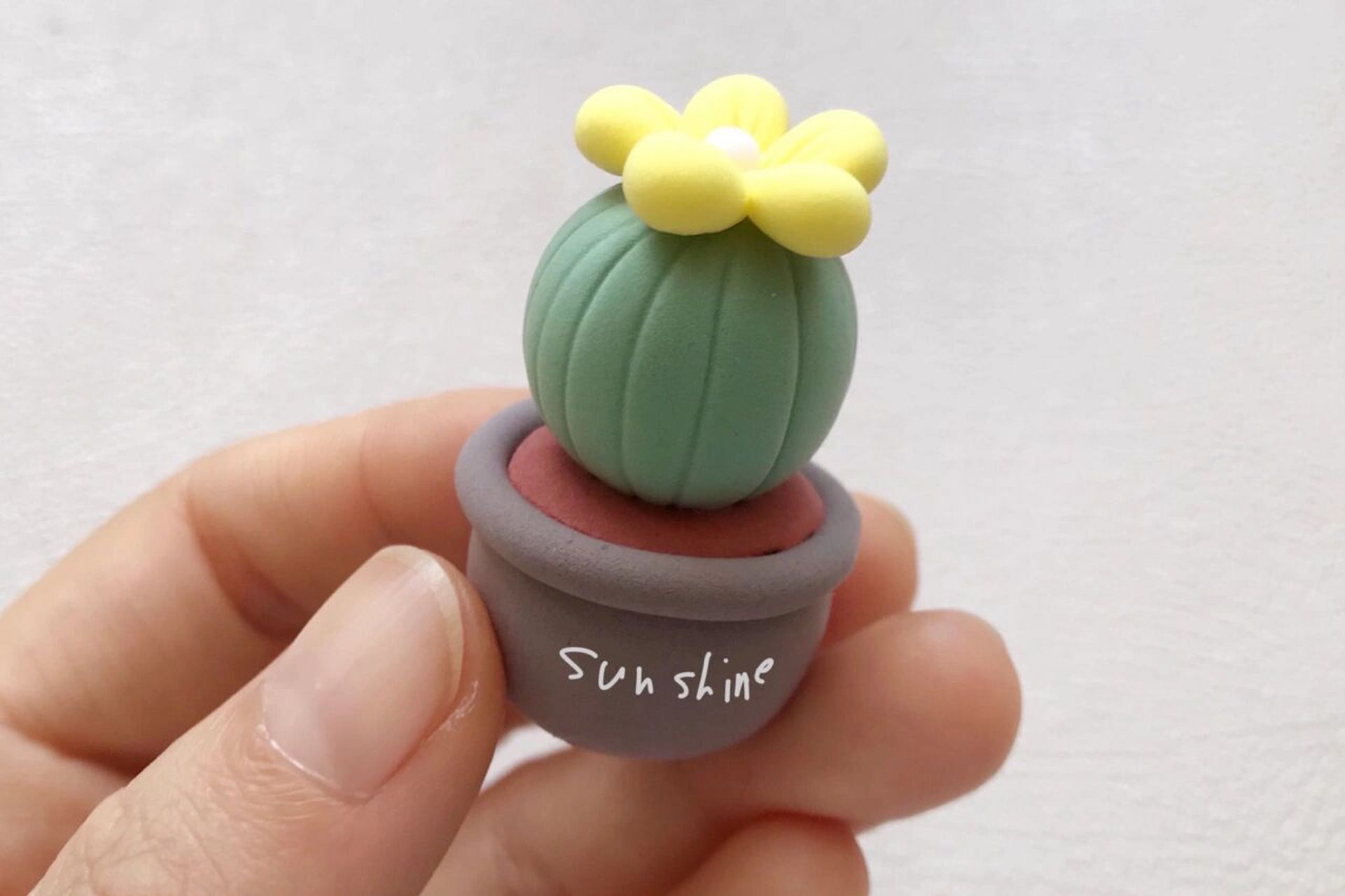 100个粘土小可爱1661506615仙人掌盆栽小摆件 这个仙人掌简直