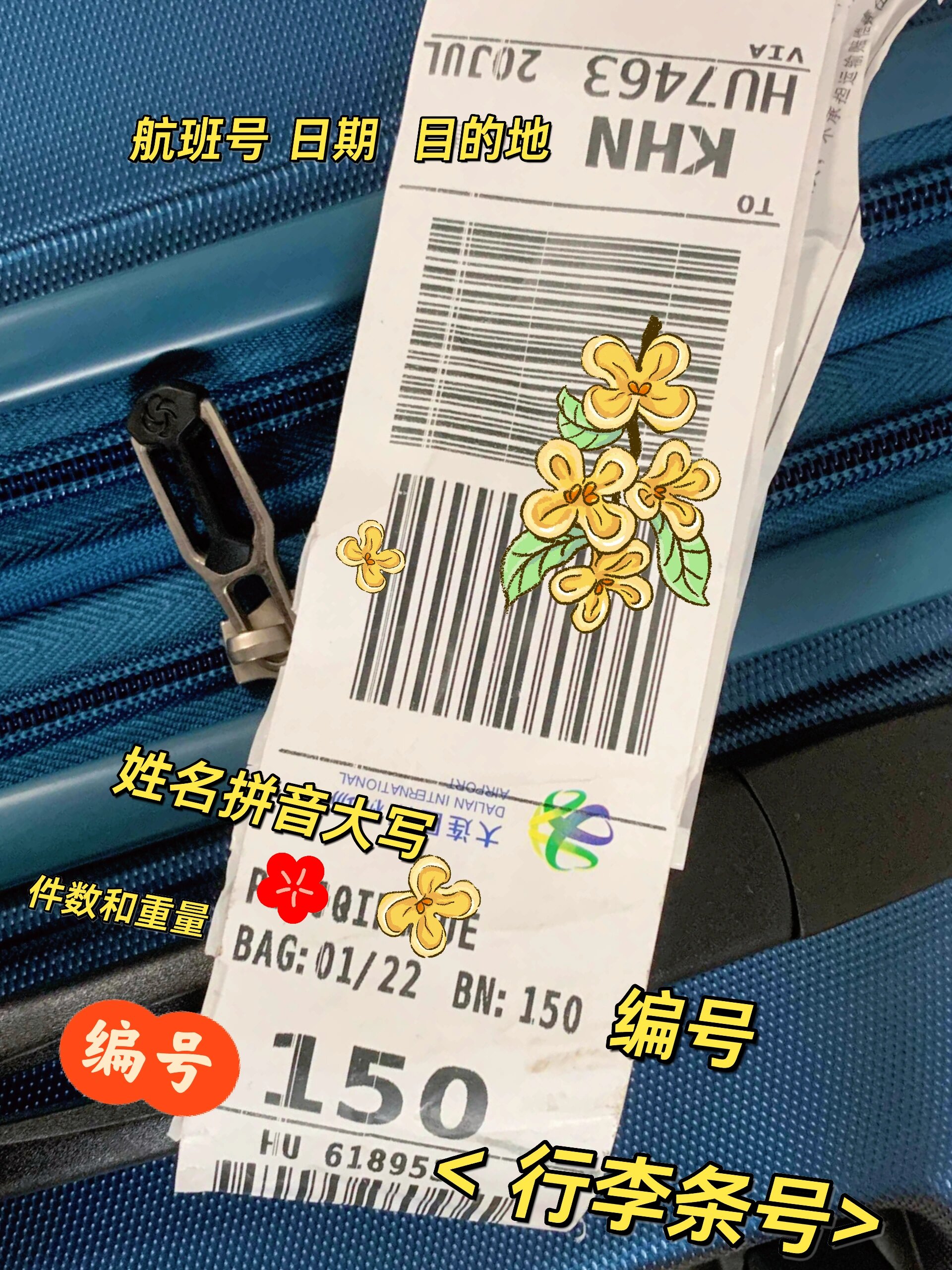 不认识机场托运行李条的都要给我进来学!