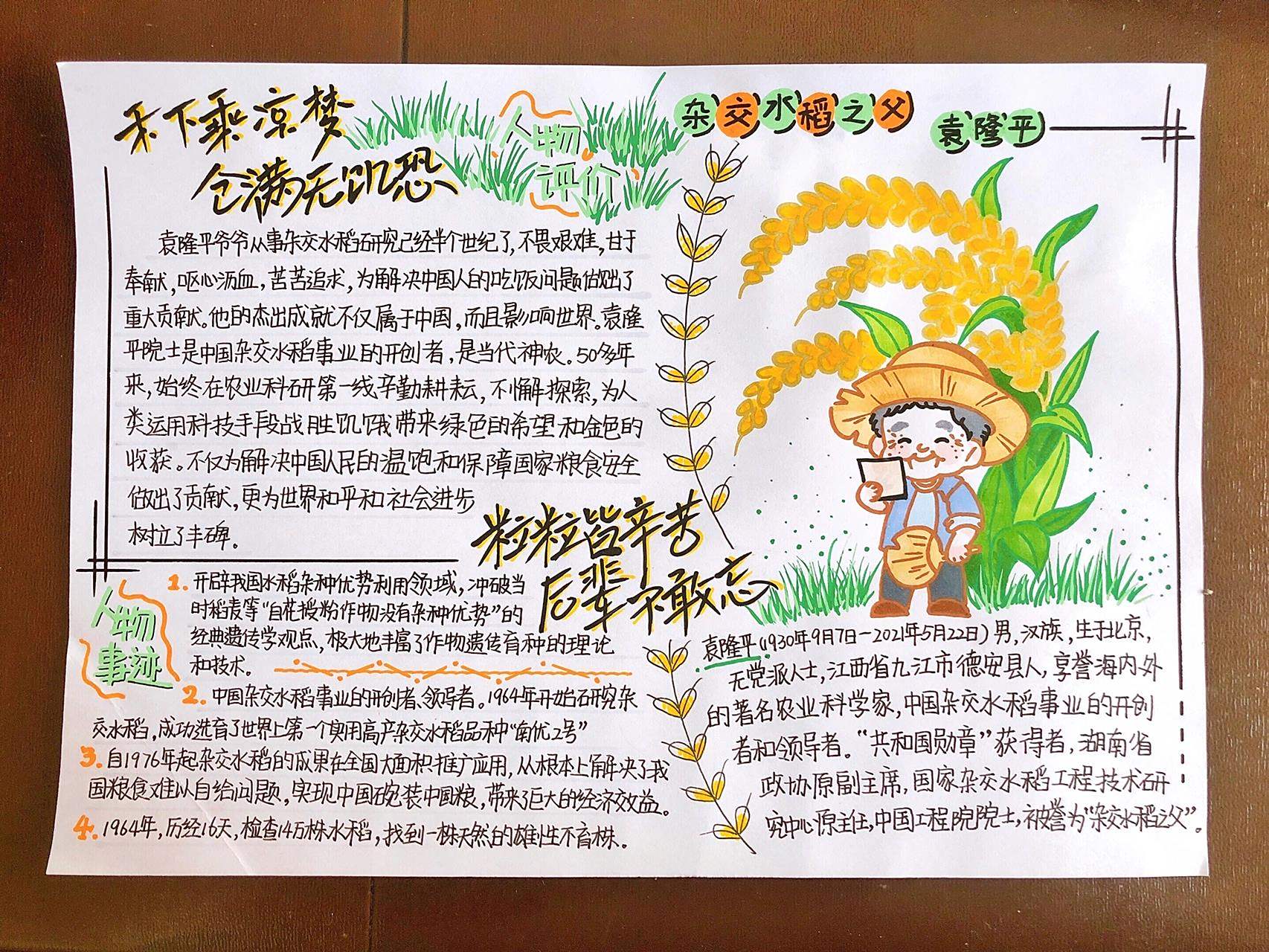 中国杰出人物—袁隆平手抄报 中国杰出人物—袁隆平手抄报