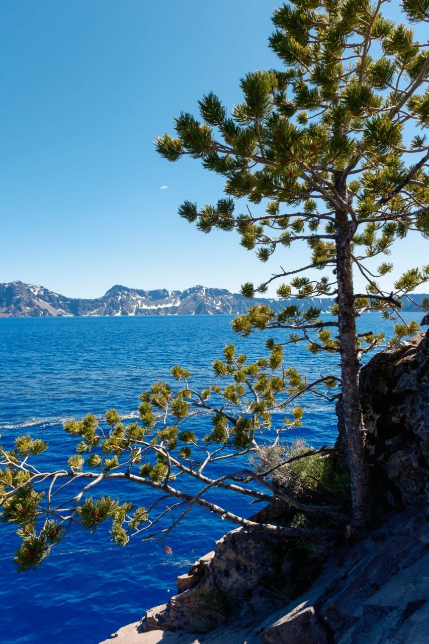 lake 火山口湖 趁着7月初打卡oregon海岸线,顺路到访火山口湖国家公园