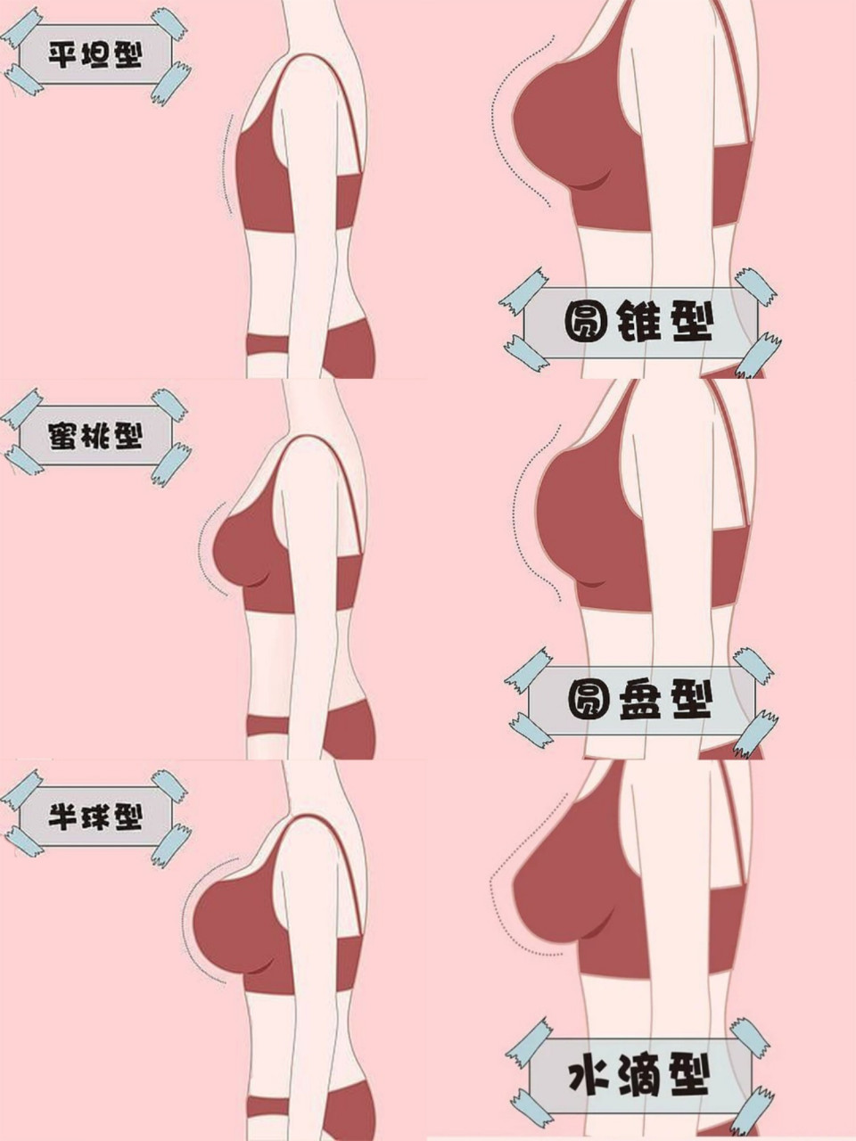青春期女孩胸型原来是这样75男生勿进9215 9215胸部该怎么