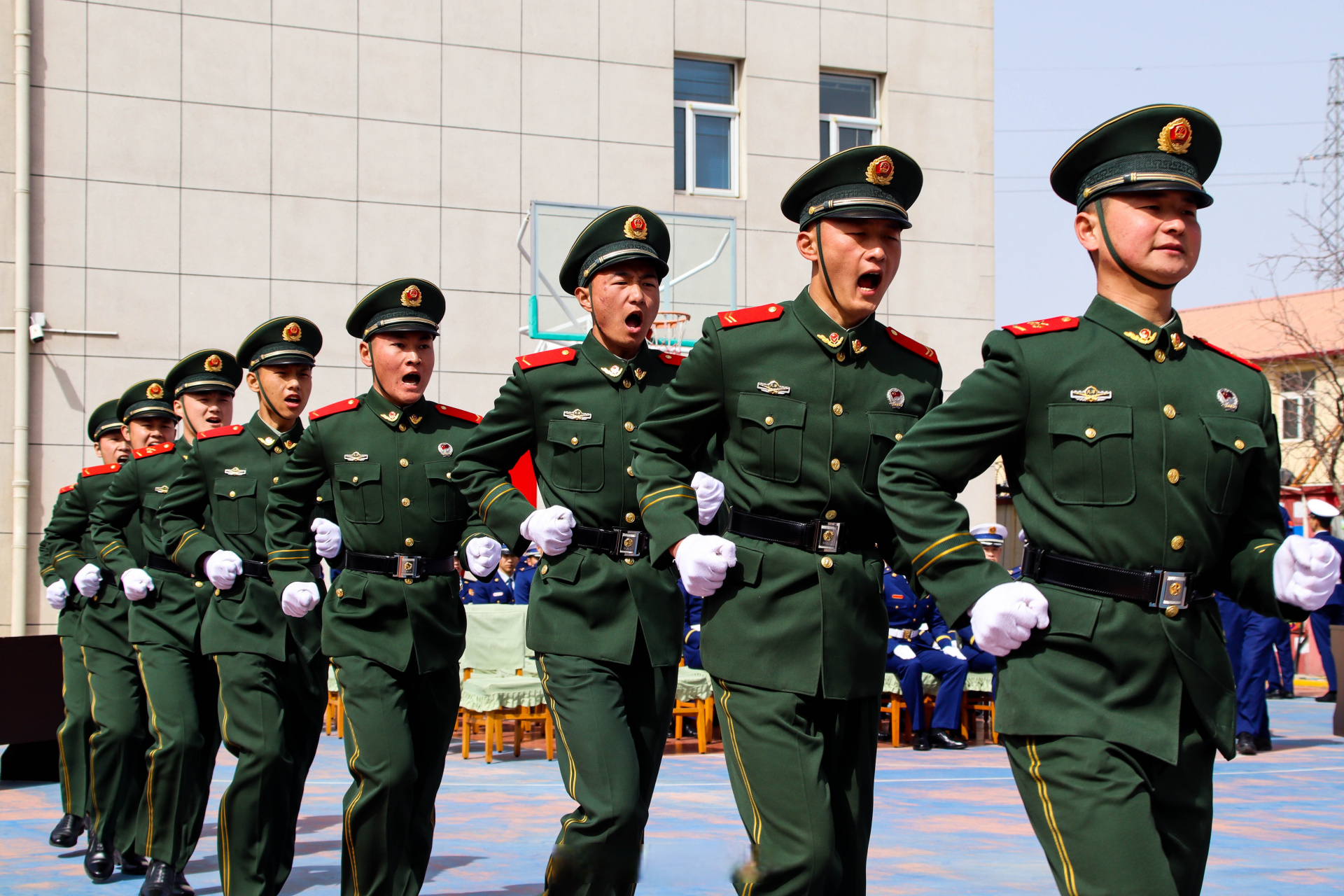 天津武警部队图片图片