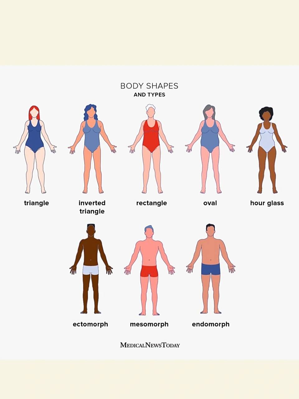 中英文体型大对照 | 你是什么型?