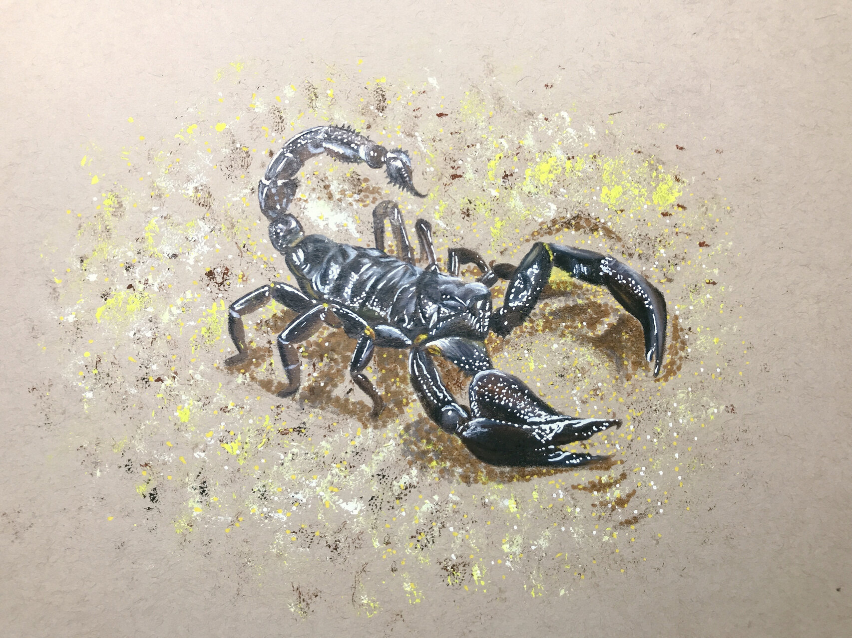 蝎子🦂️ 年初的时候临摹了意大利画家mercello barenghi画的蝎子