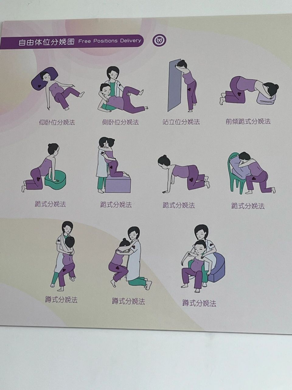 分娩机制的七个步骤图图片