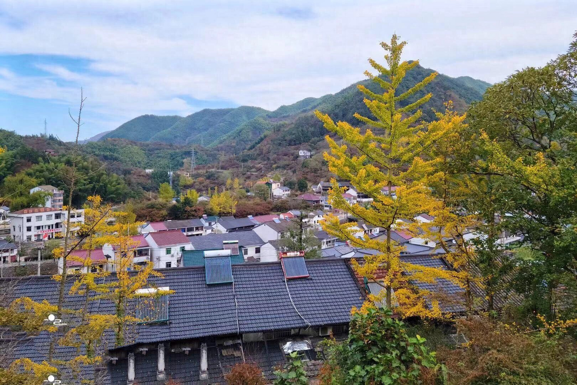 浙江余姚北溪村古银杏很美,溪谷秘境更好玩 浙江省宁波市四明山东麓的