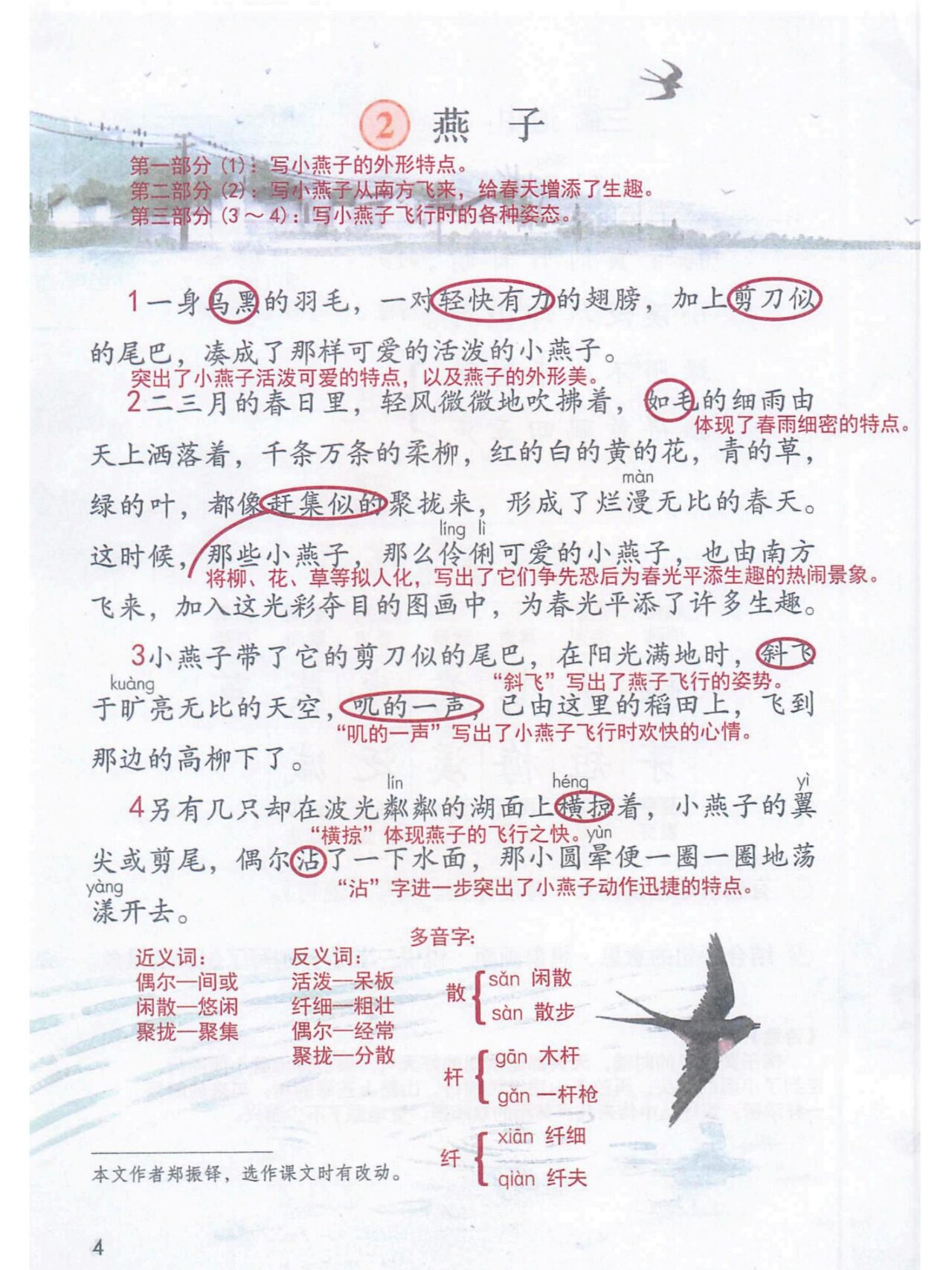 樱桃红荷花燕子小学图片