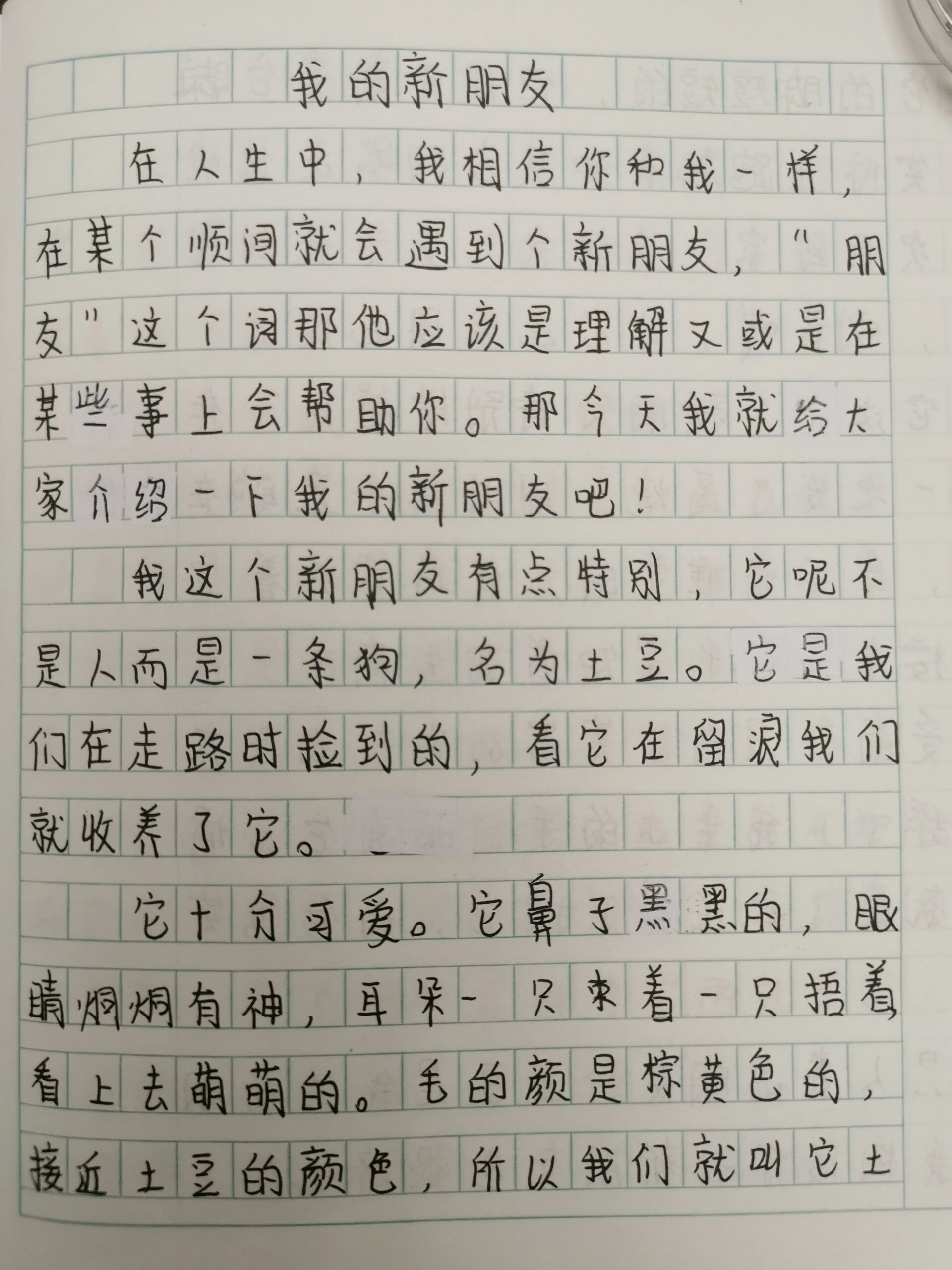 作文《我的新朋友》
