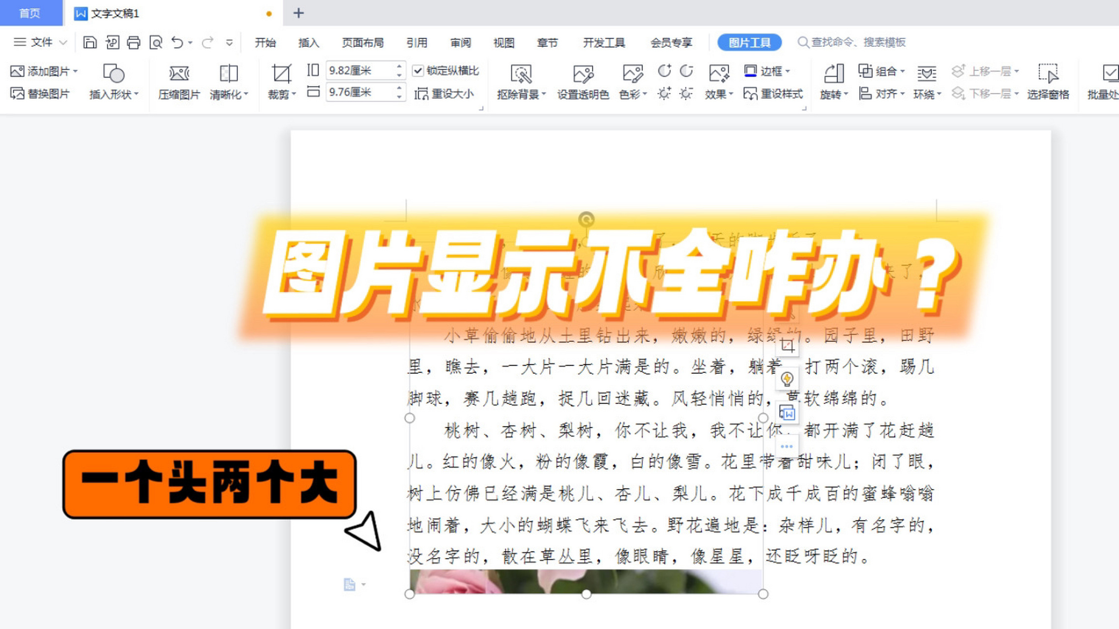 word图片不能完全显示怎么办?
