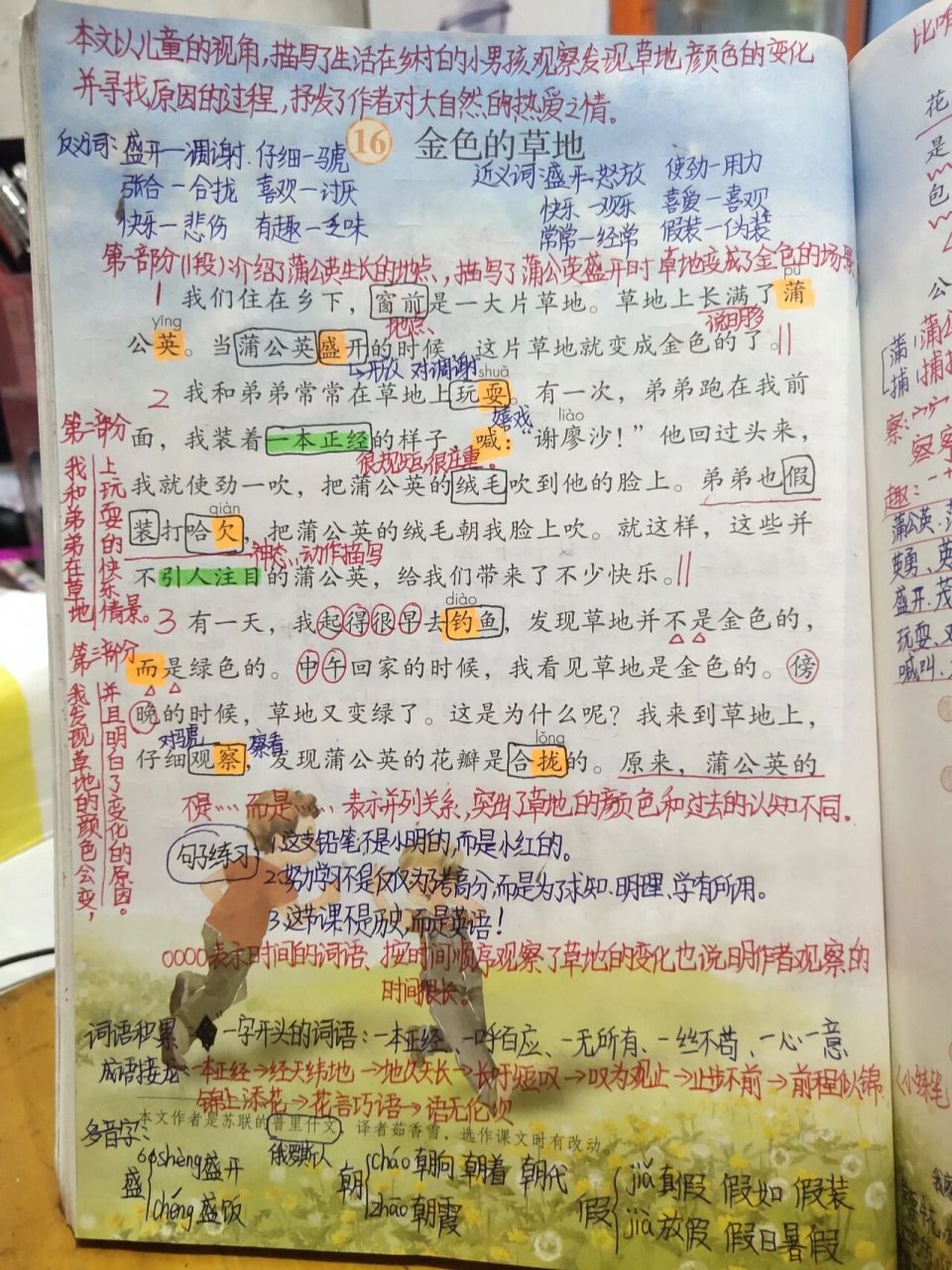 三年级语文上册16.金色的草地 课堂笔记