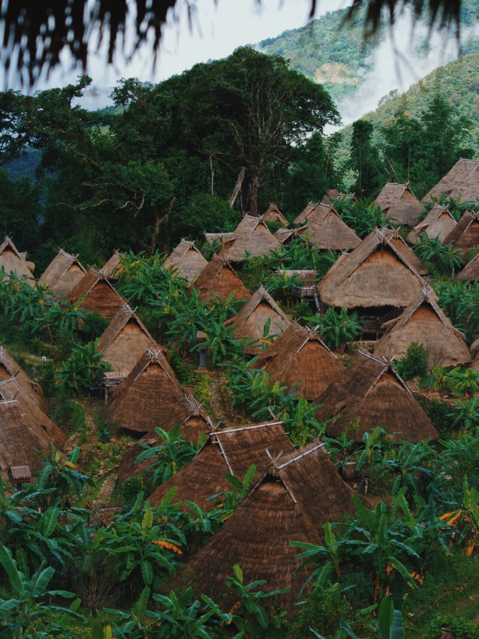 中国最后一个原始部落——翁丁古寨 滇缅边境的翁丁村真的是想去好多