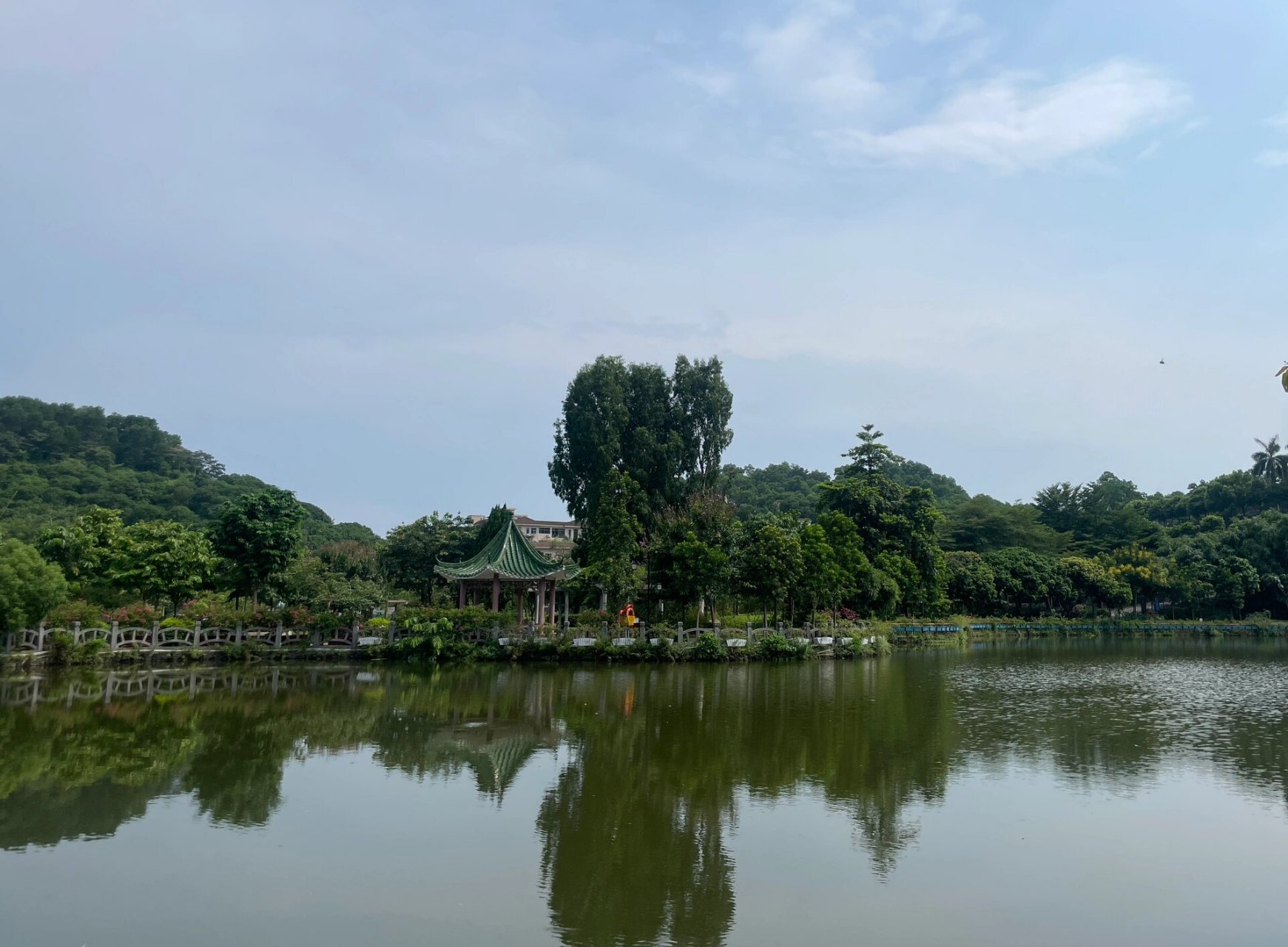 东莞大屏嶂森林公园徒步|骑行|亲子附攻略 7215深圳周末周边游好