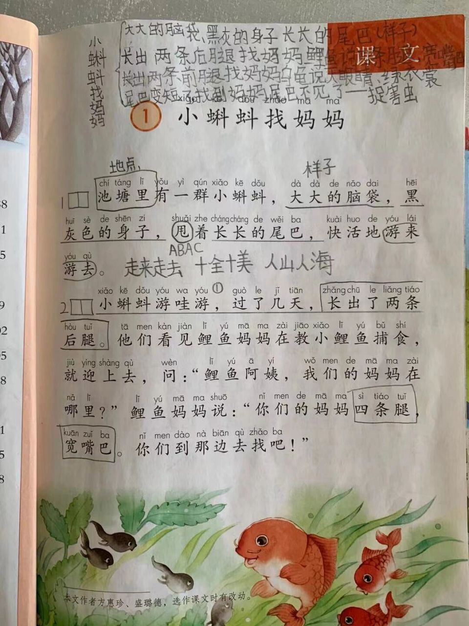 二上语文《小蝌蚪找妈妈》学生笔记