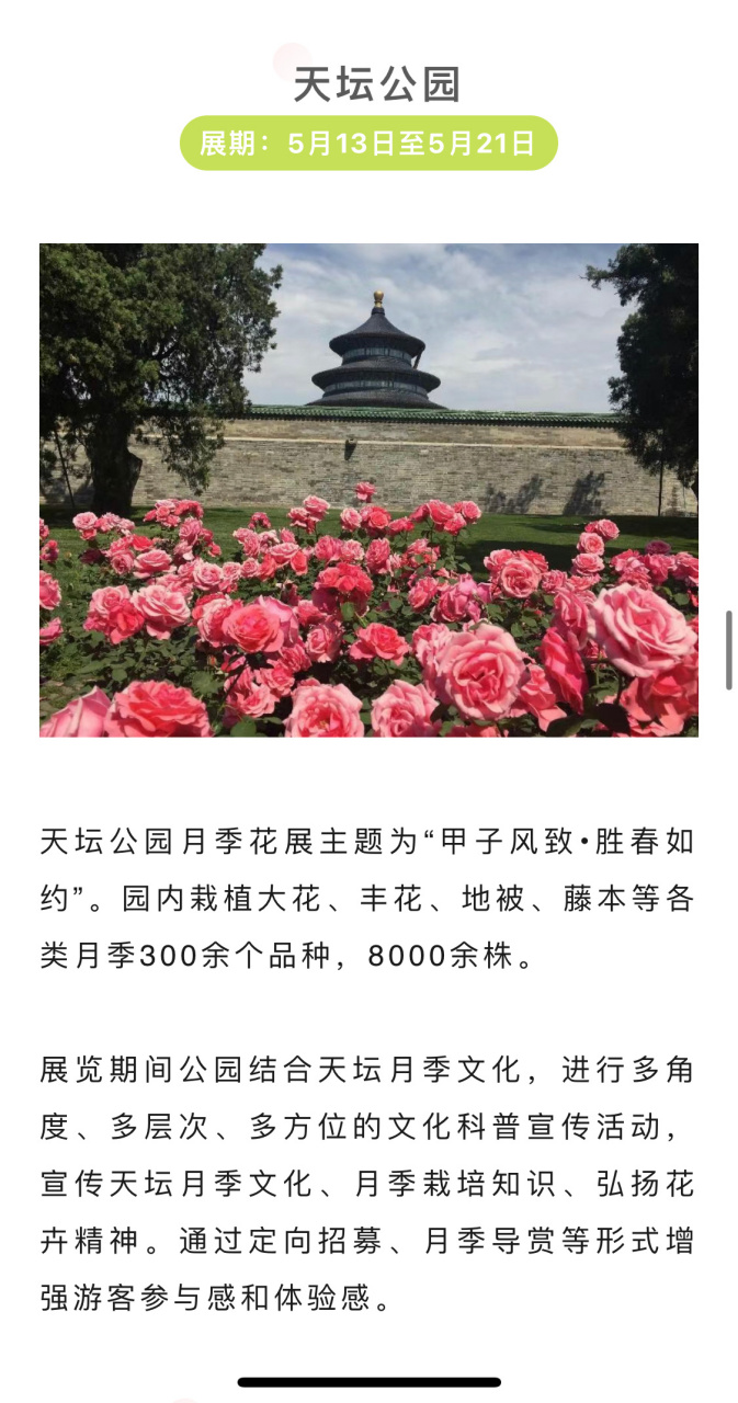 天坛公园月季花展时间图片