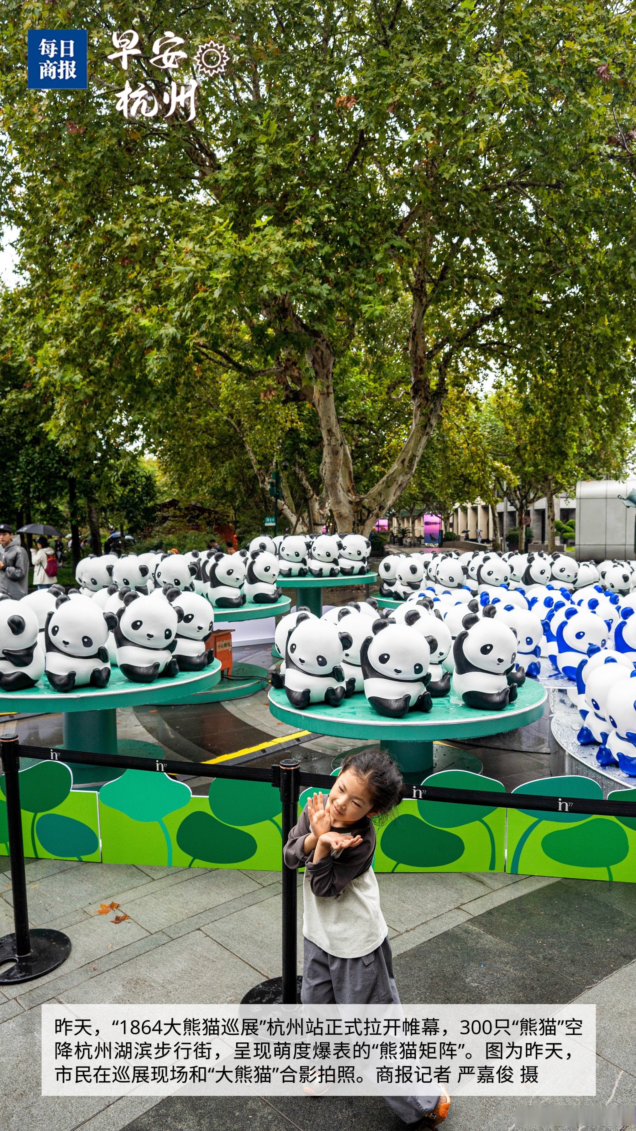 早安杭州##每日视觉# 昨天,"1864大熊猫巡展"杭州站正式拉开帷幕,300