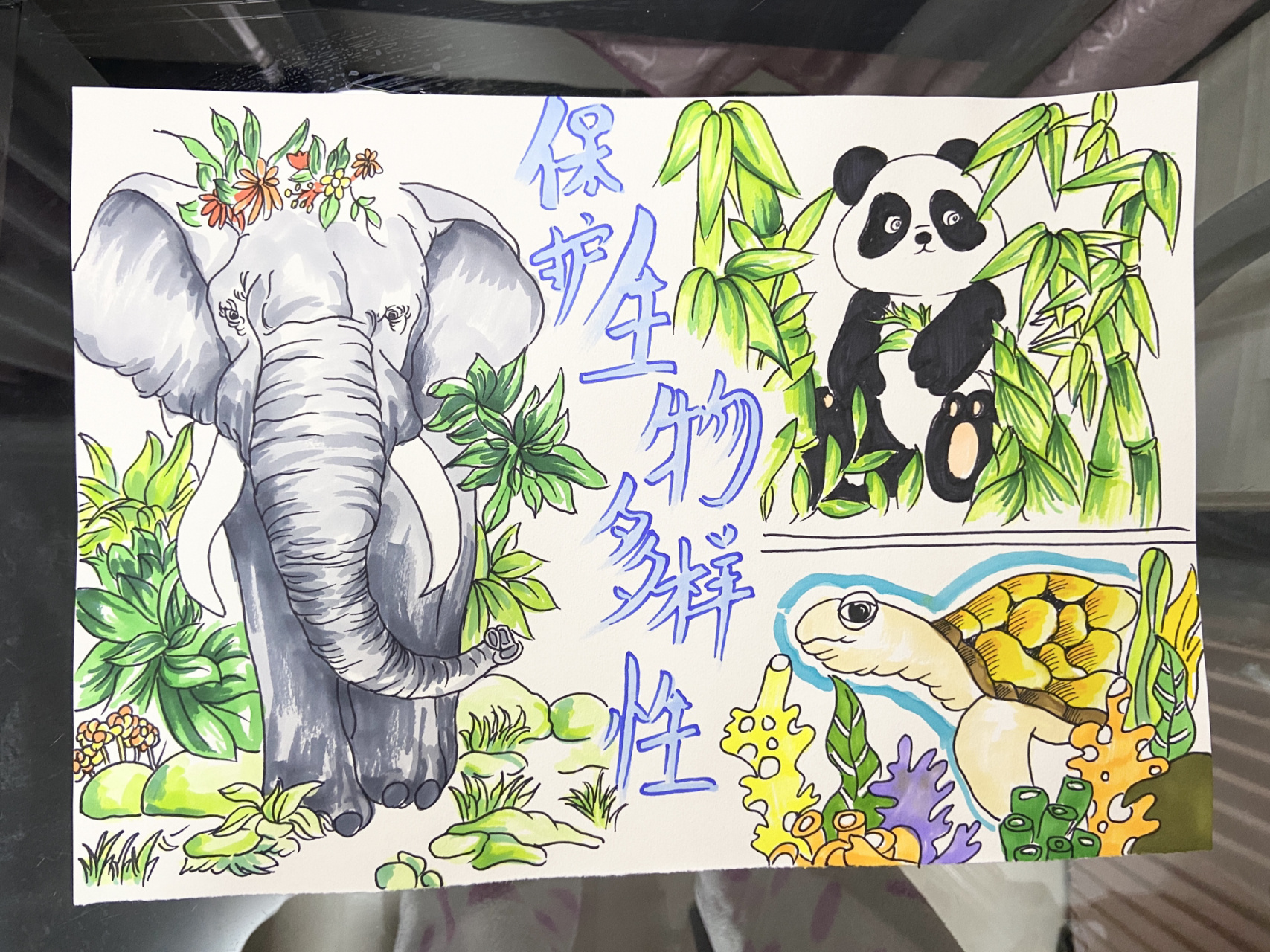 生物多样性手抄报 保护环境,人人有责