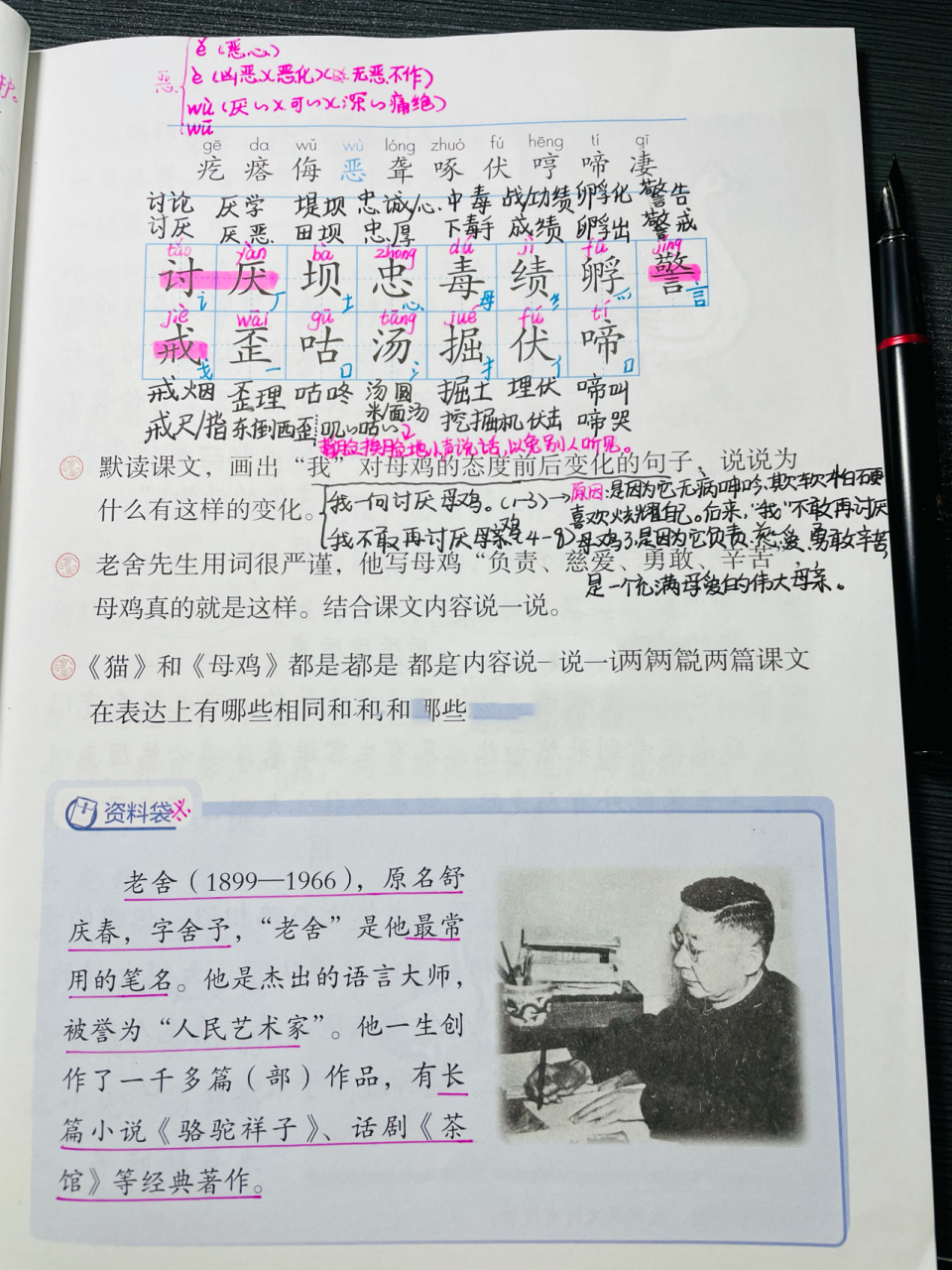 部编四年级下册语文第14课《母鸡》