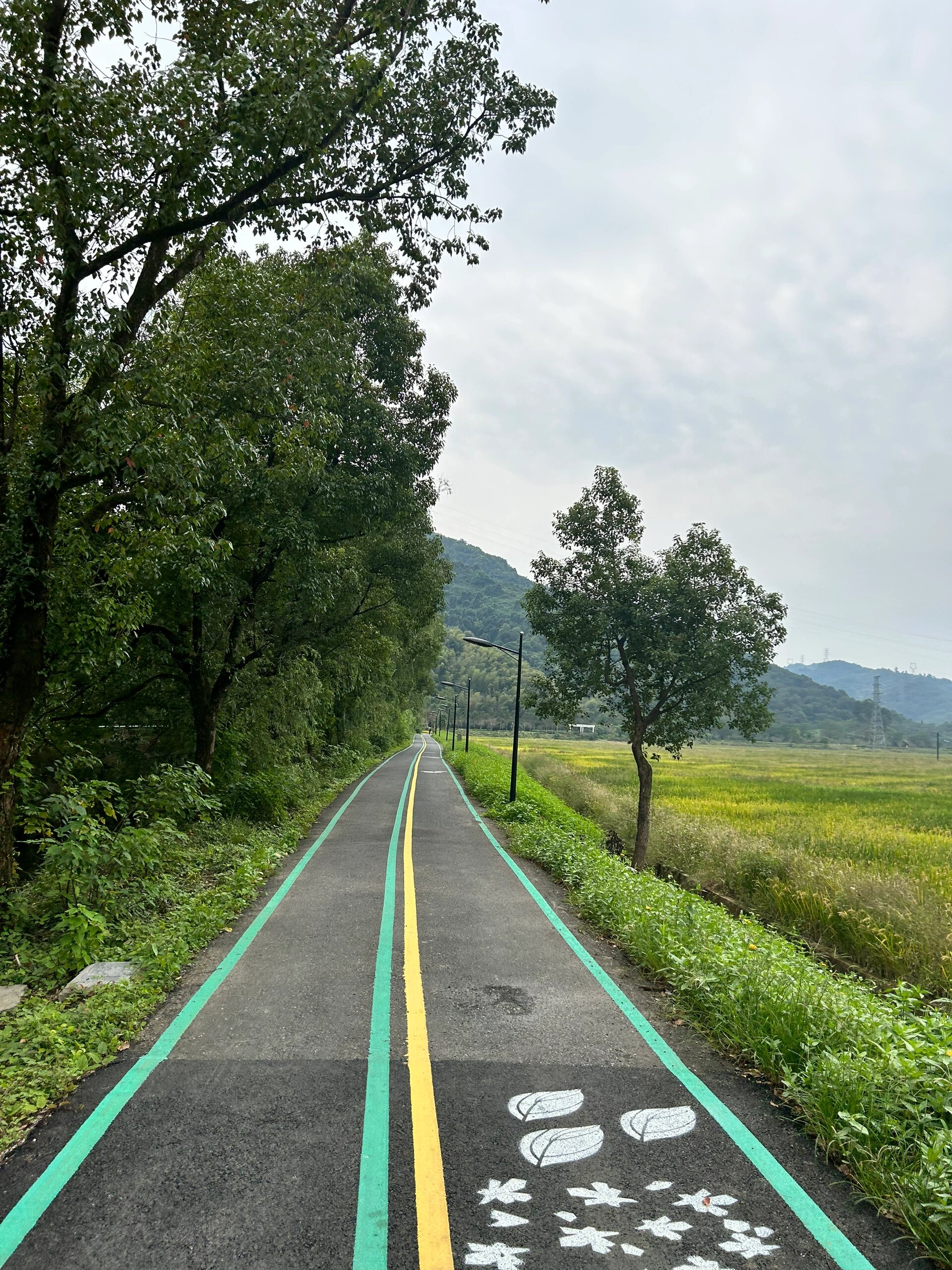 中泰江南慢村图片