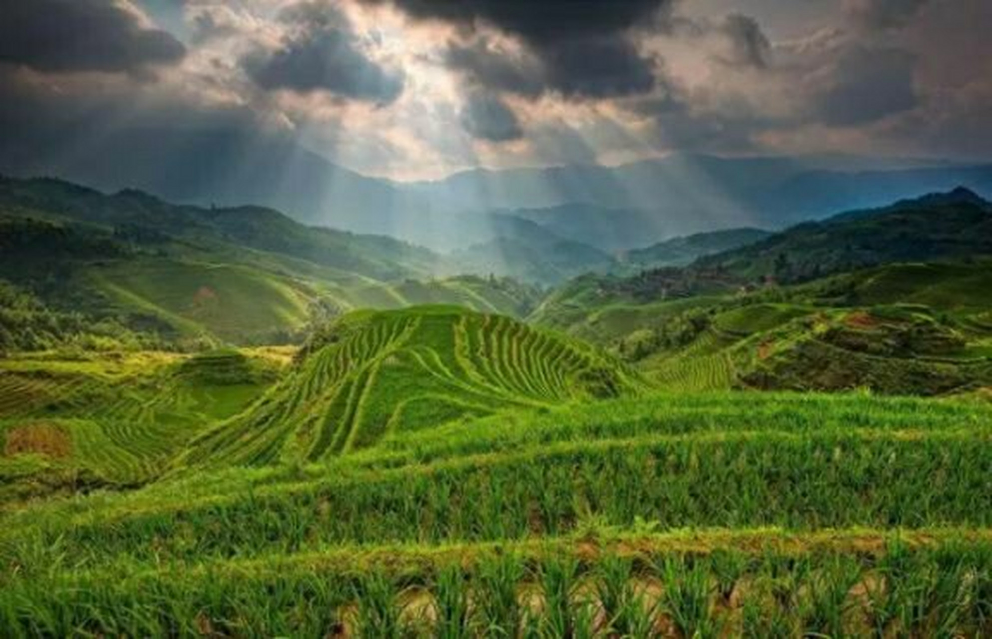 中国的三大丘陵图片