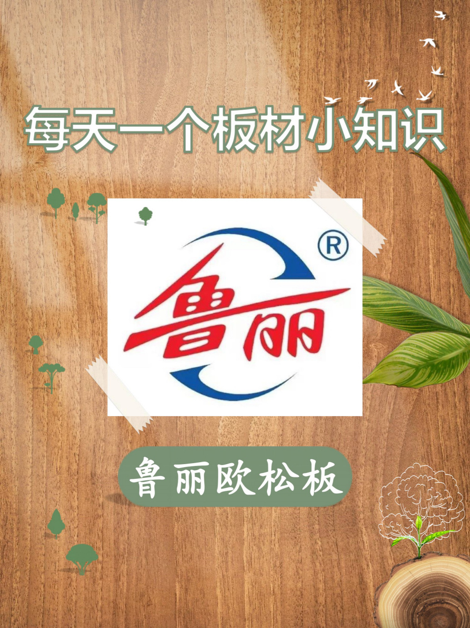 板材小知识|鲁丽欧松板来咯6015 鲁丽欧松板 全部采用高级环保