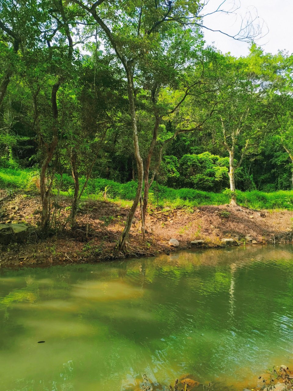 惠州游野泳 露野营  周天睡醒吃饱饭在东莞再出发 人多 一下车就能