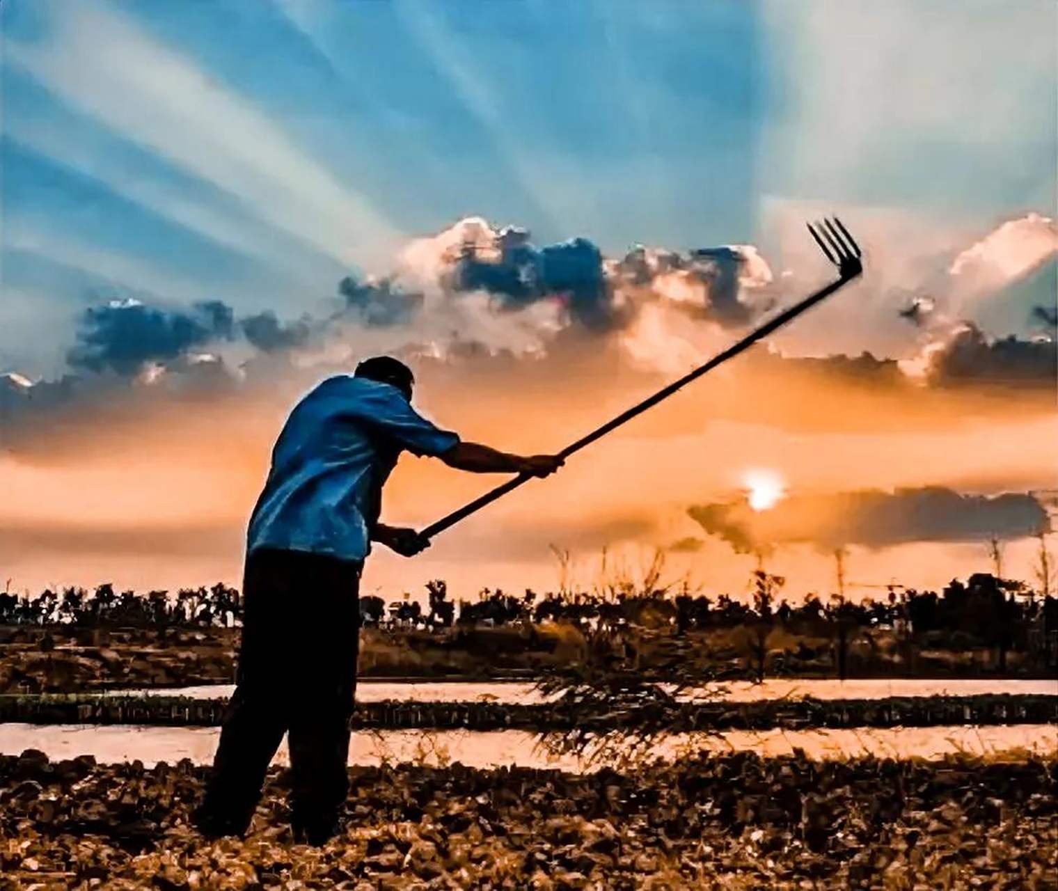 农民是辛苦的劳动者,他们把这一生默默耕耘在土地上,日夜辛勤劳作,为