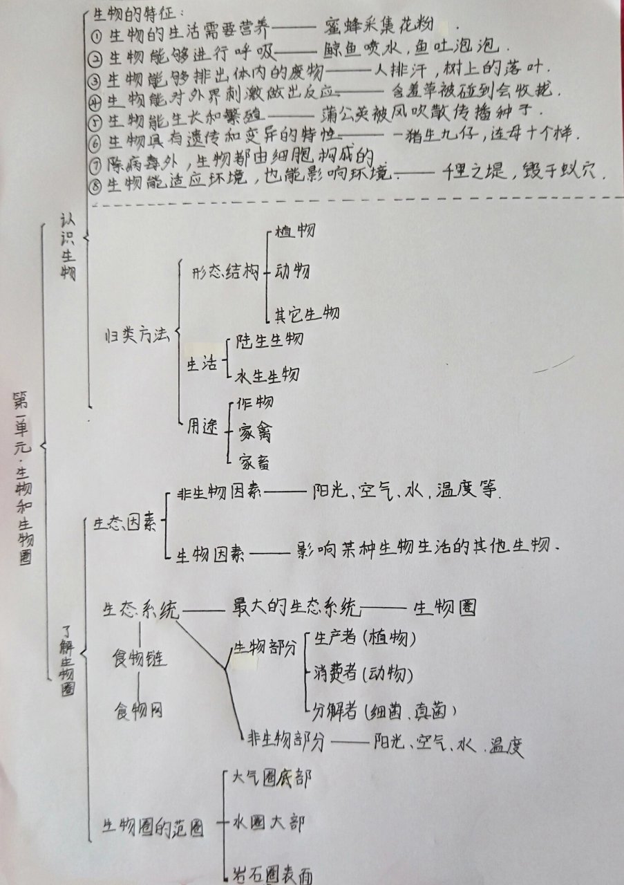 初一上册生物思维导图