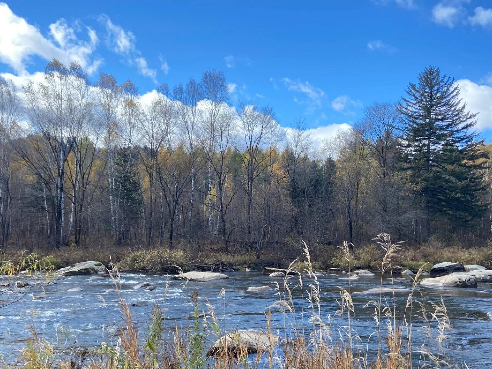 小兴安岭之秋,徒步大箐山 伊春带岭大箐山主峰海拔1203米,为小兴安岭
