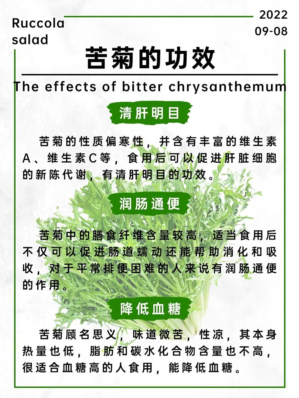 苦菊这样吃01便秘靠边站7575 苦菊的功效 79