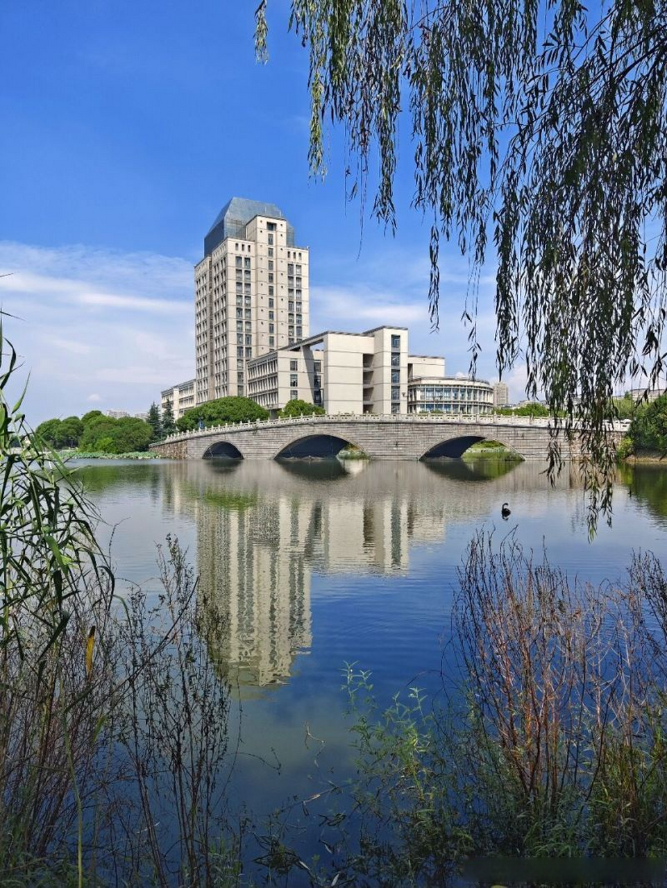 庆祝江南大学建校65周年# 太湖之滨,蠡湖之畔; 曲水流觞,无限风光.
