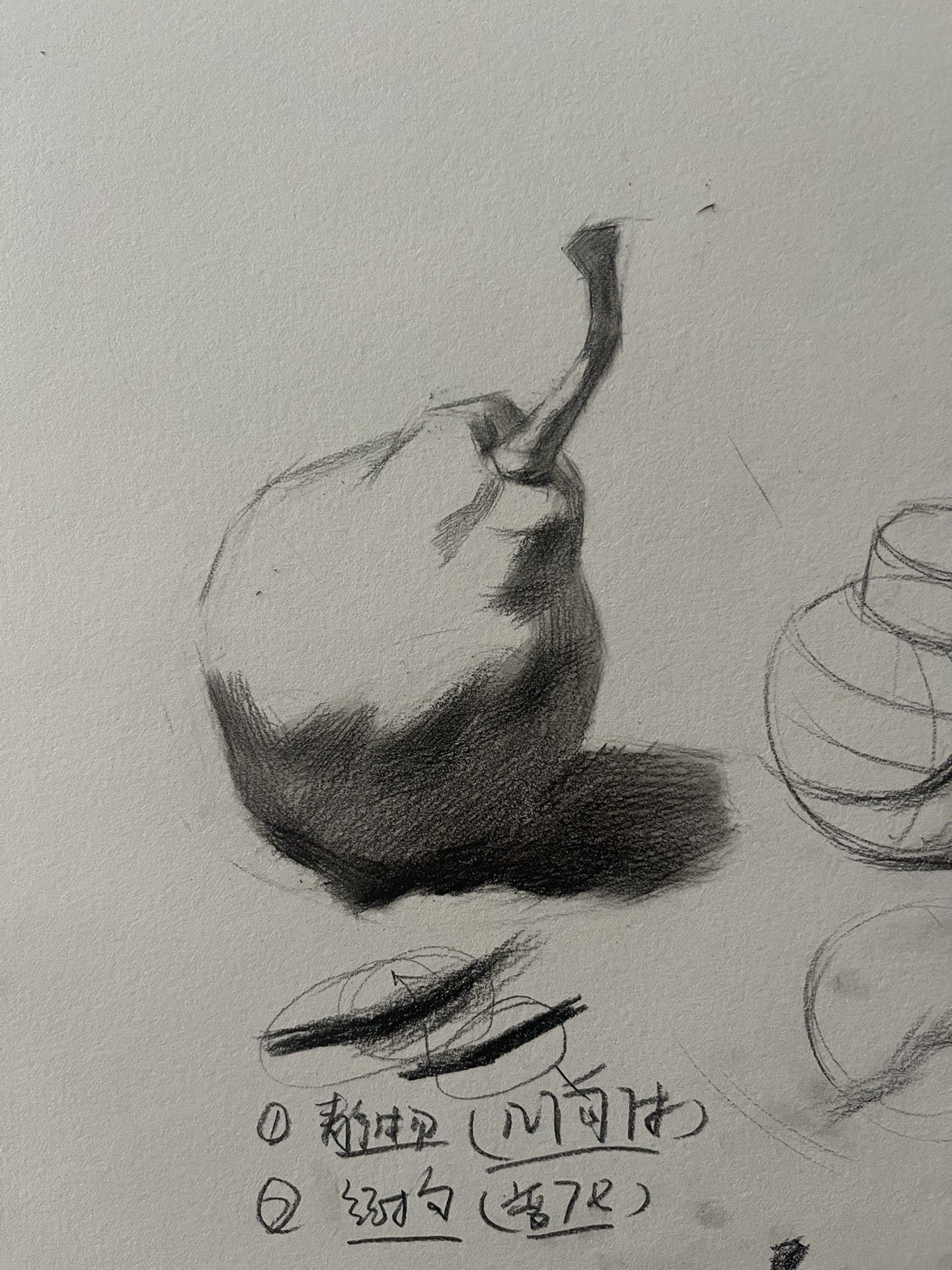 素描静物梨绘画步骤