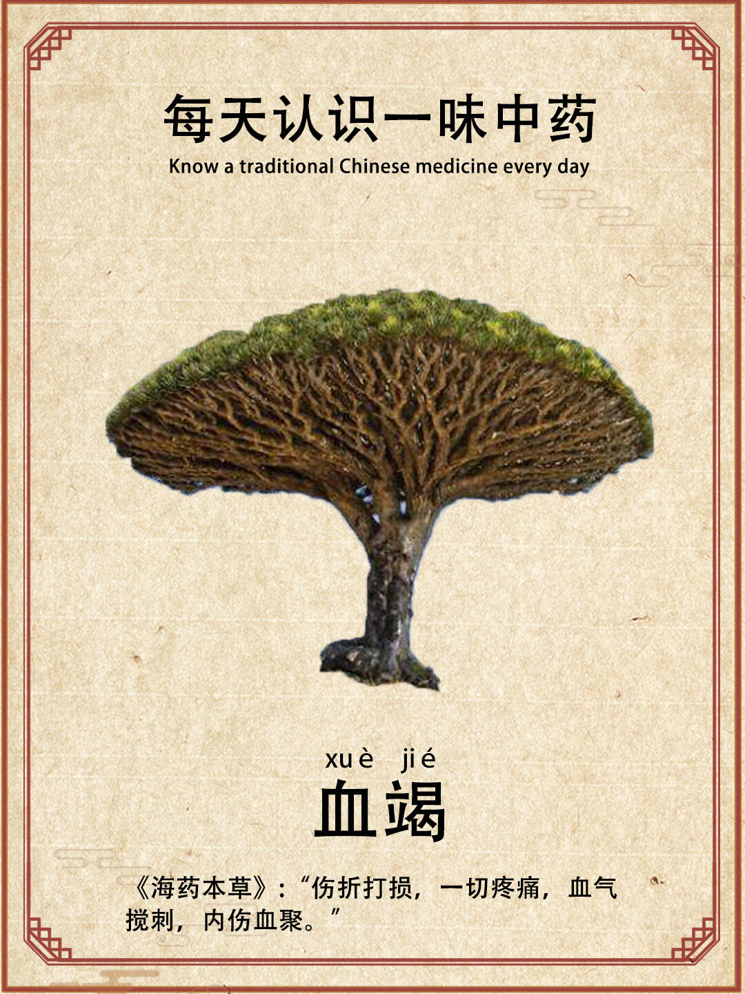 每天认识一味中药-血竭 血竭是一种活血化瘀药,为棕榈科植物麒麟竭