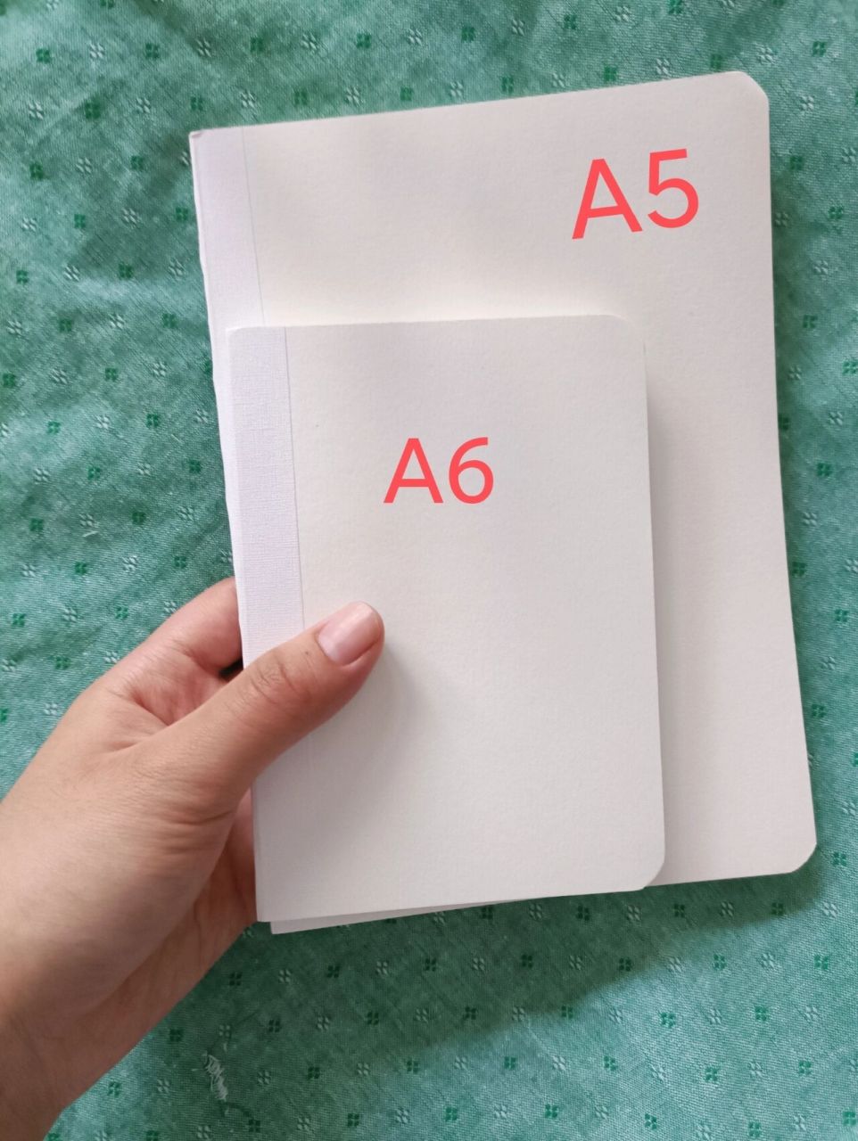 a5纸多大 对比图片