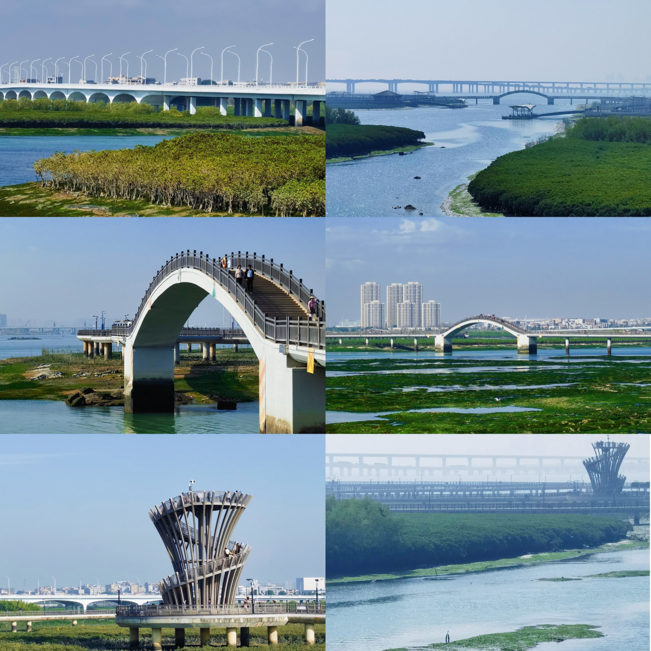 海上栈道绿色的浪漫|翔安下谭尾湿地公园 下谭尾湿地公园终于全面开放