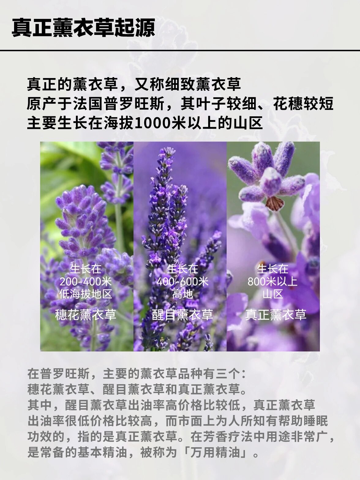 真正薰衣草精油|芳疗万用香薰精油实用配方 产品名称:真正薰衣草精油