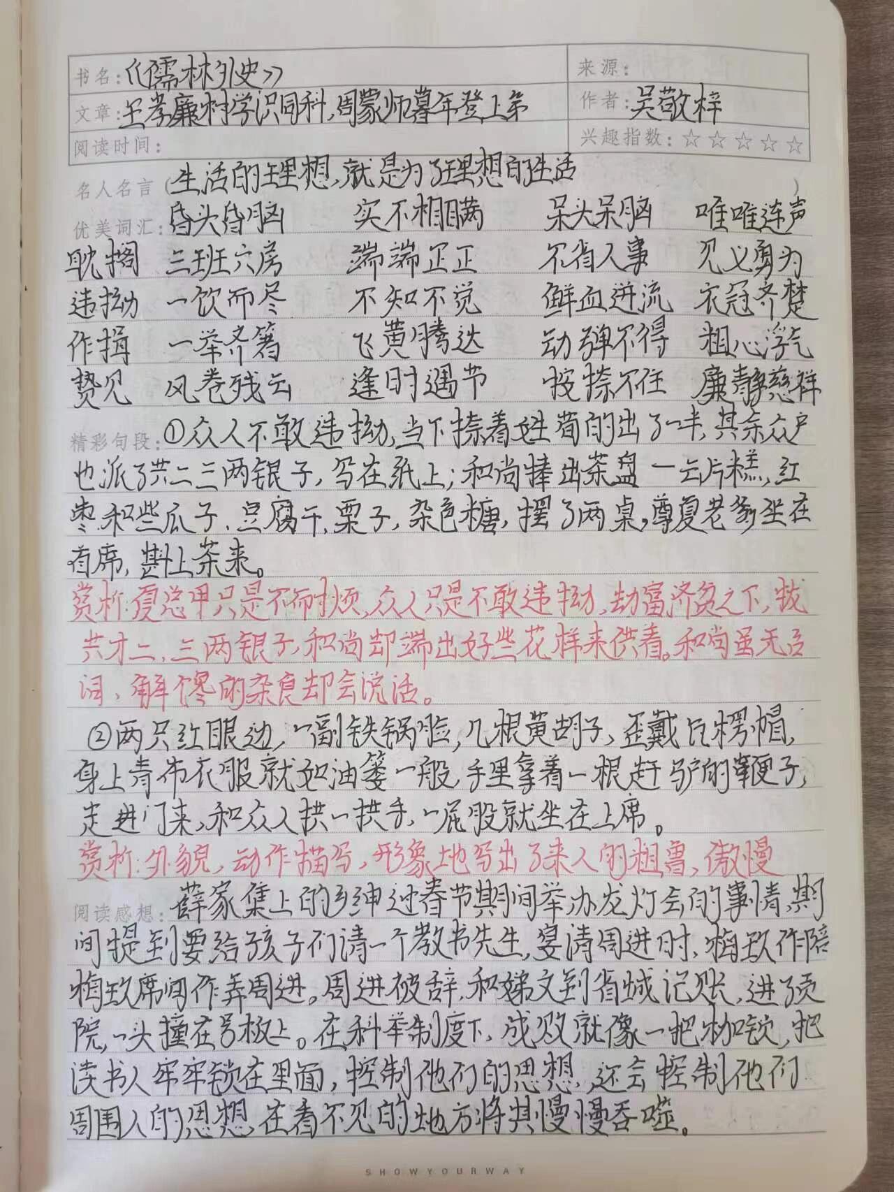 儒林外史读后感手写图片