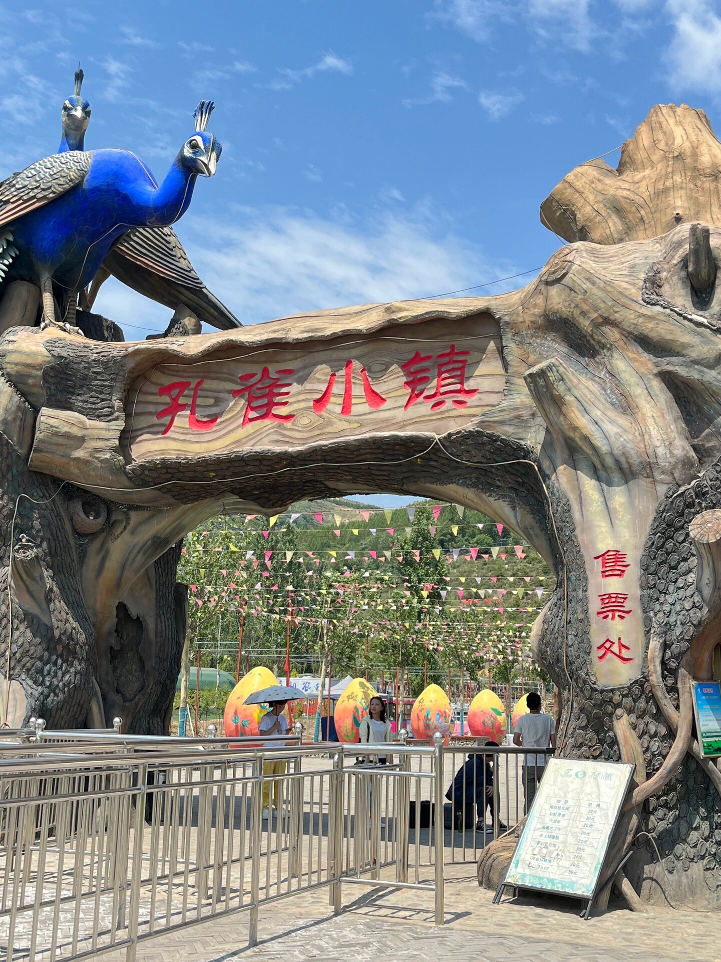 娄烦的孔雀小镇也太好了吧,孔雀根本看不够