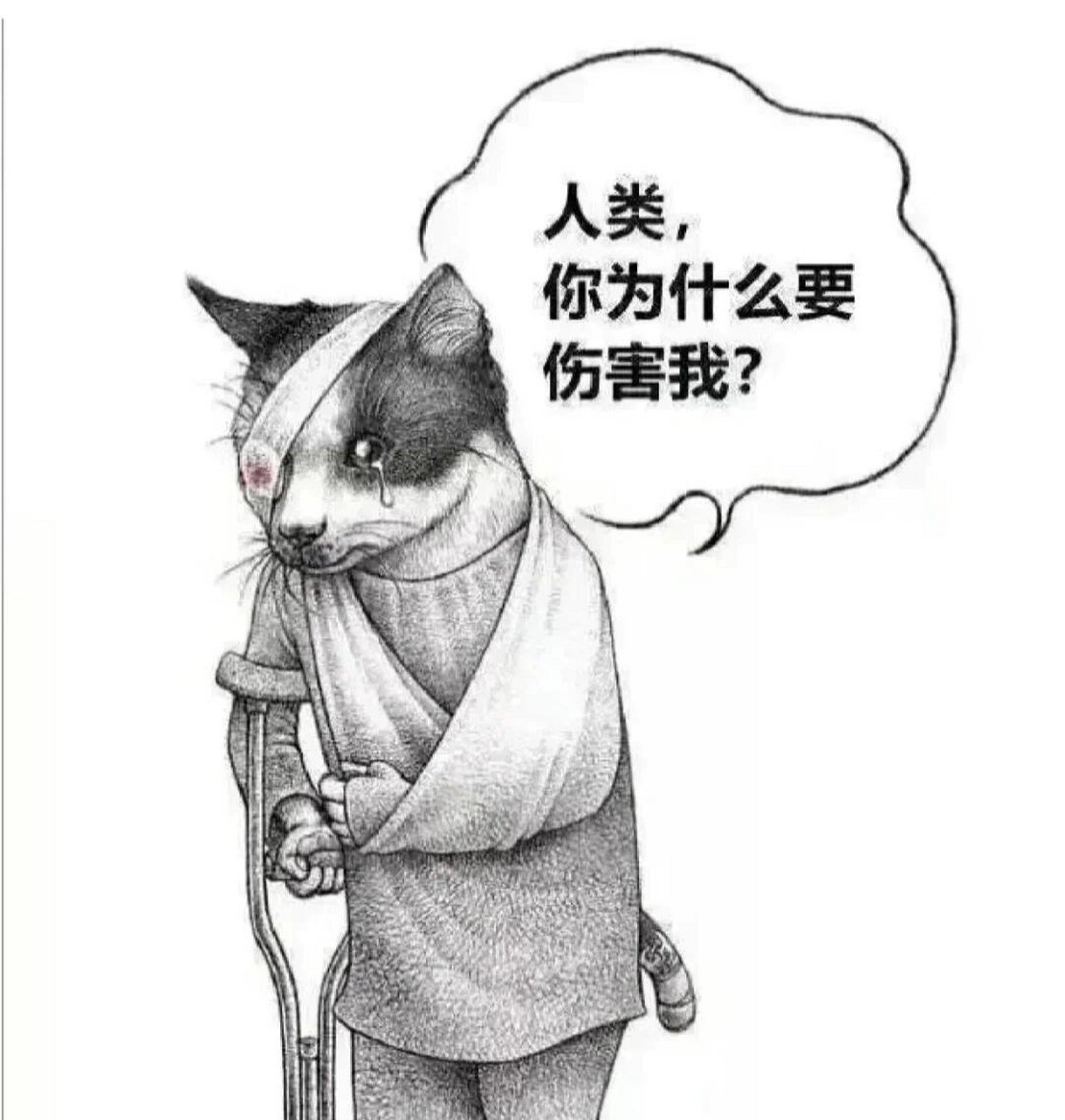 人类为了钱,伤害了动物